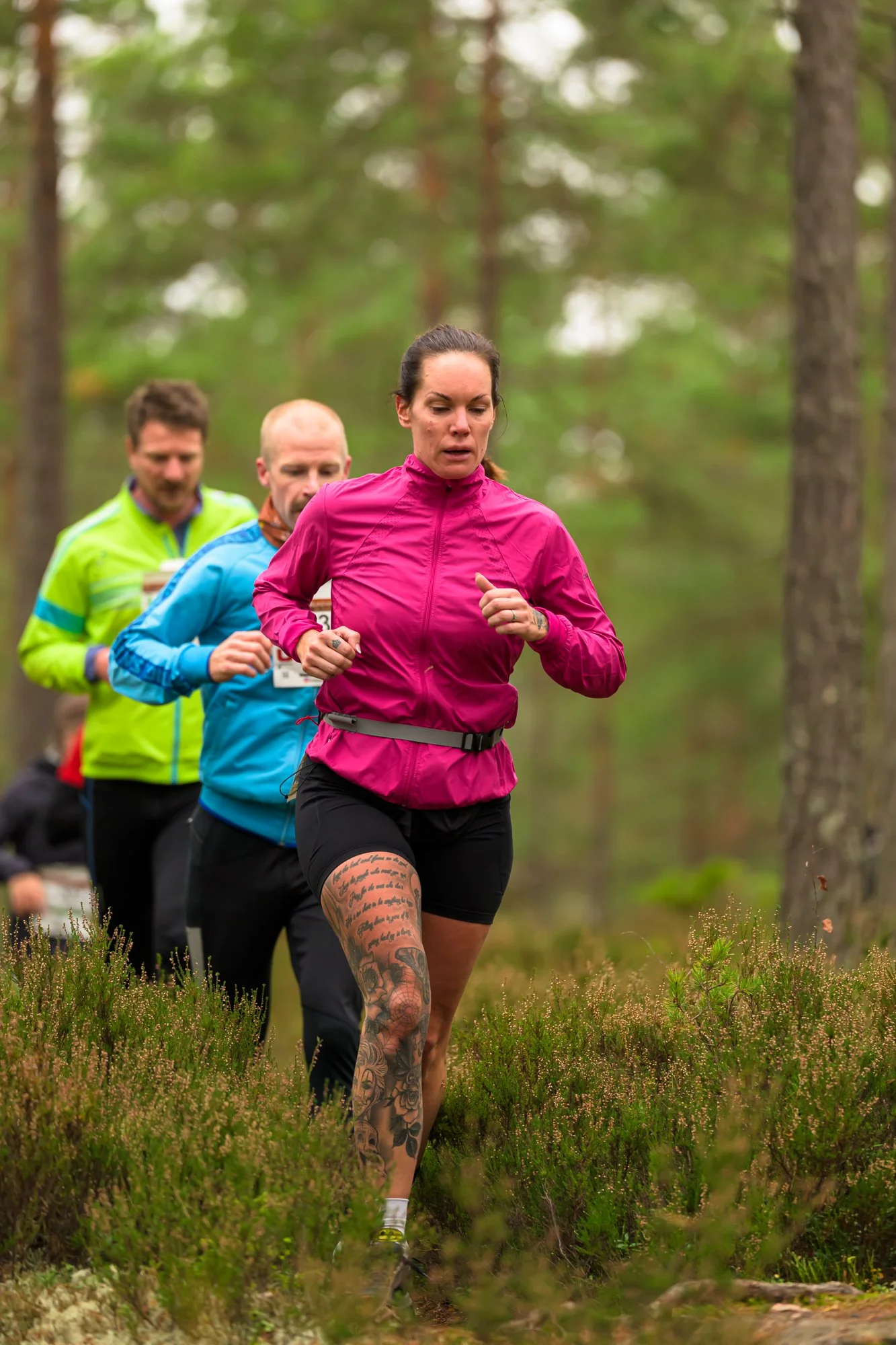 Kolmårdsrundan trail-17.jpg