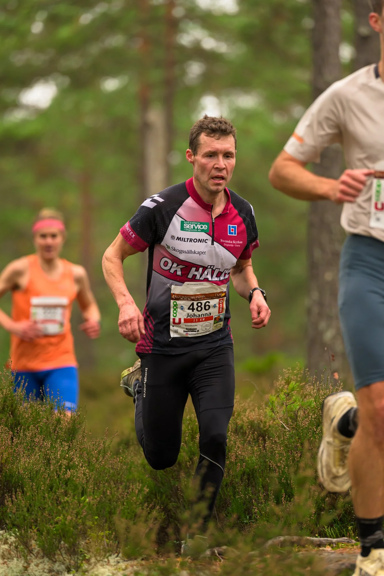 Kolmårdsrundan trail-79.jpg