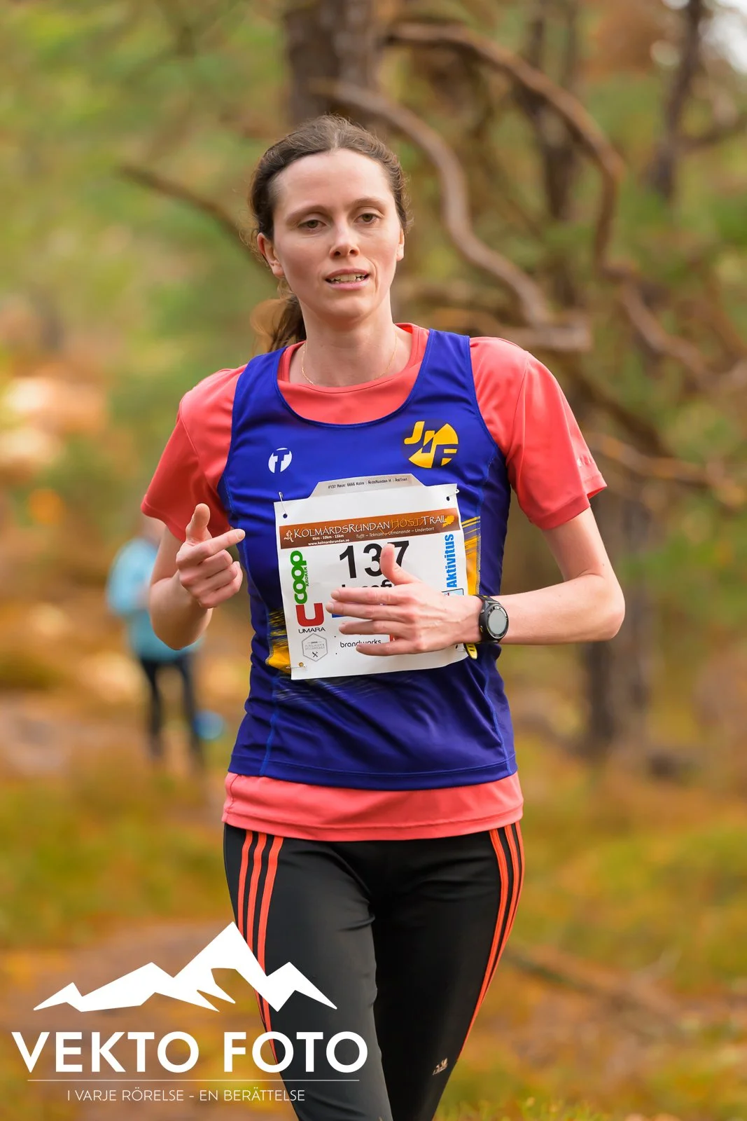 Kolmårdsrundan trail höst-349.jpg