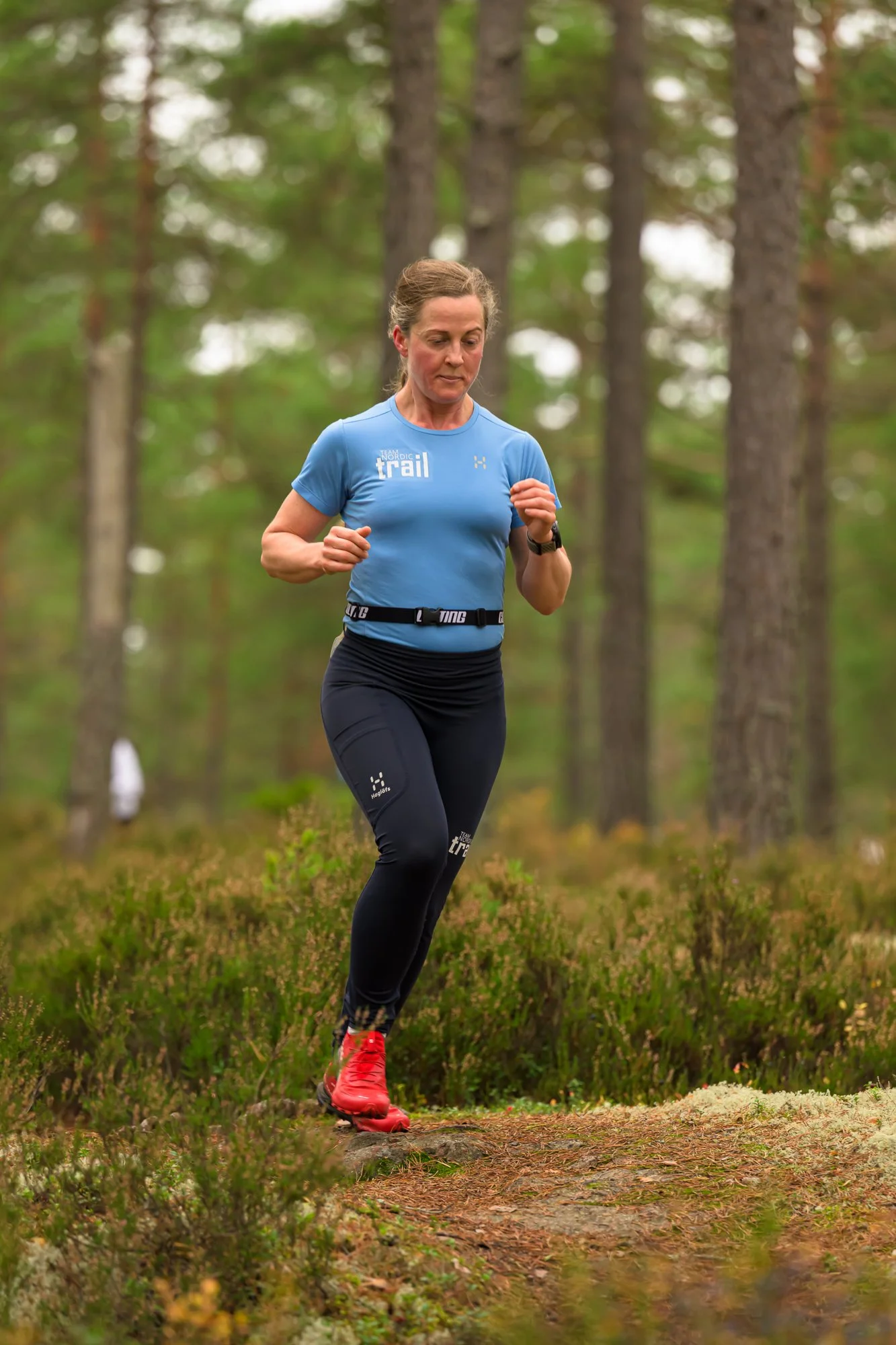 Kolmårdsrundan trail-4.jpg