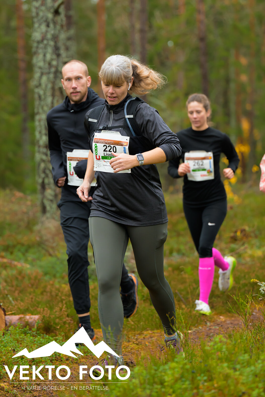 Kolmårdsrundan trail höst-194.jpg