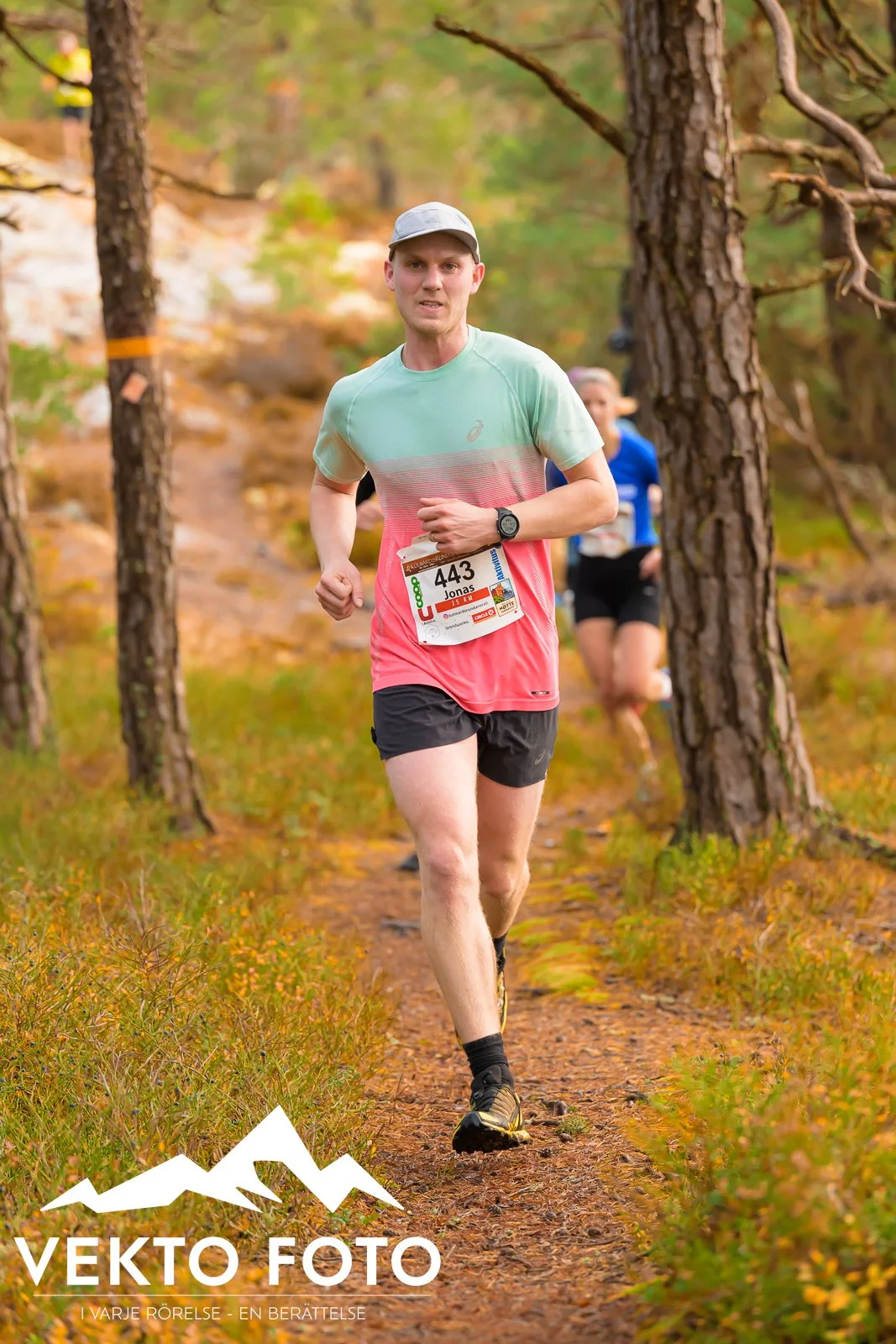 Kolmårdsrundan trail höst-251.jpg