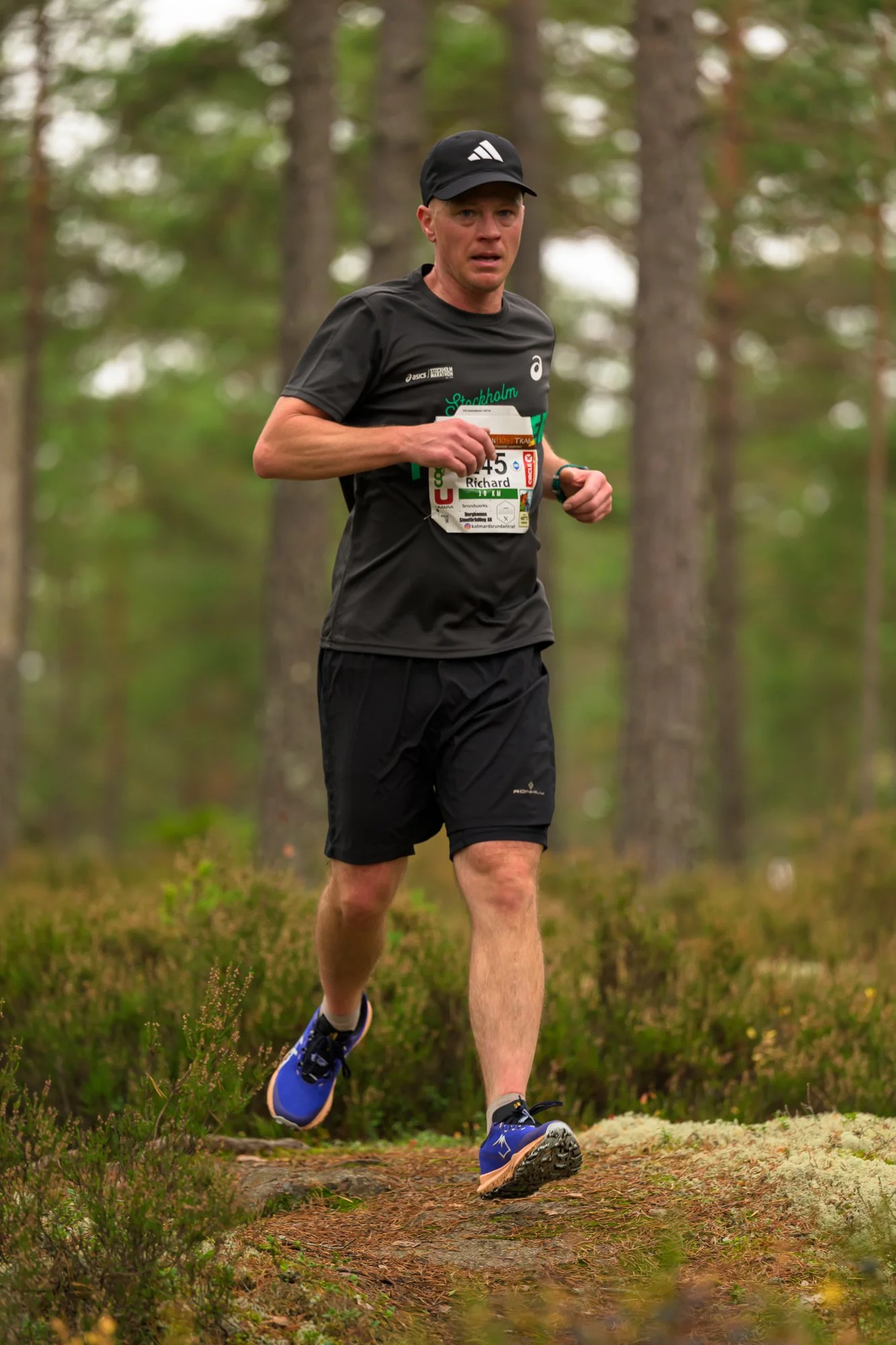 Kolmårdsrundan trail-3.jpg
