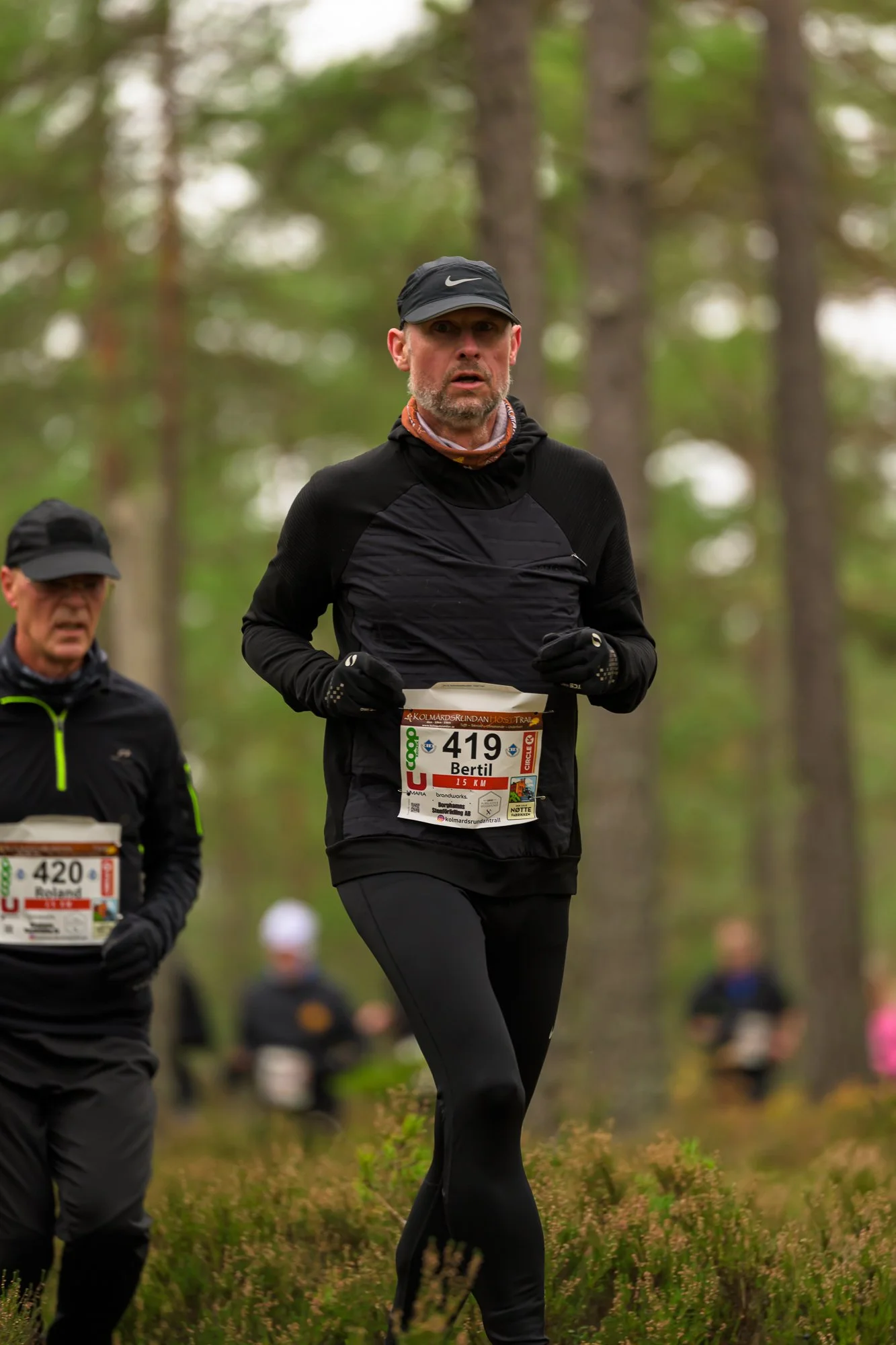 Kolmårdsrundan trail-222.jpg