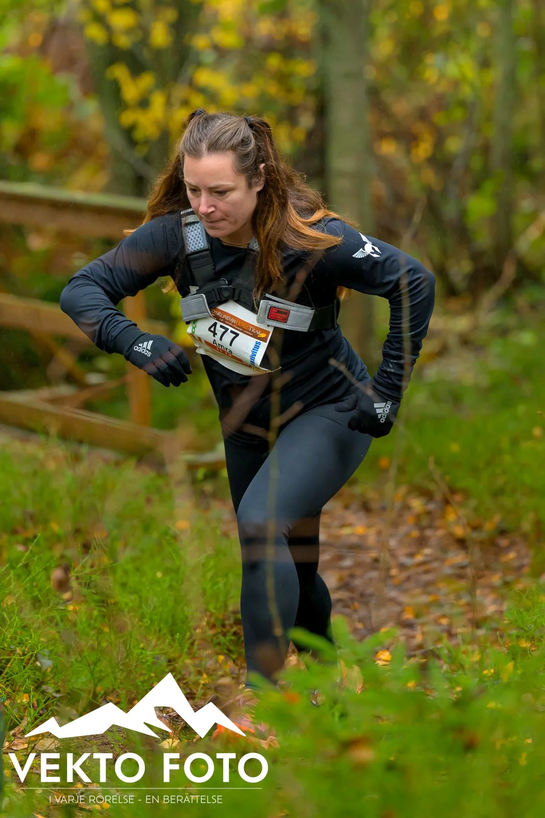 Kolmårdsrundan trail höst-140.jpg