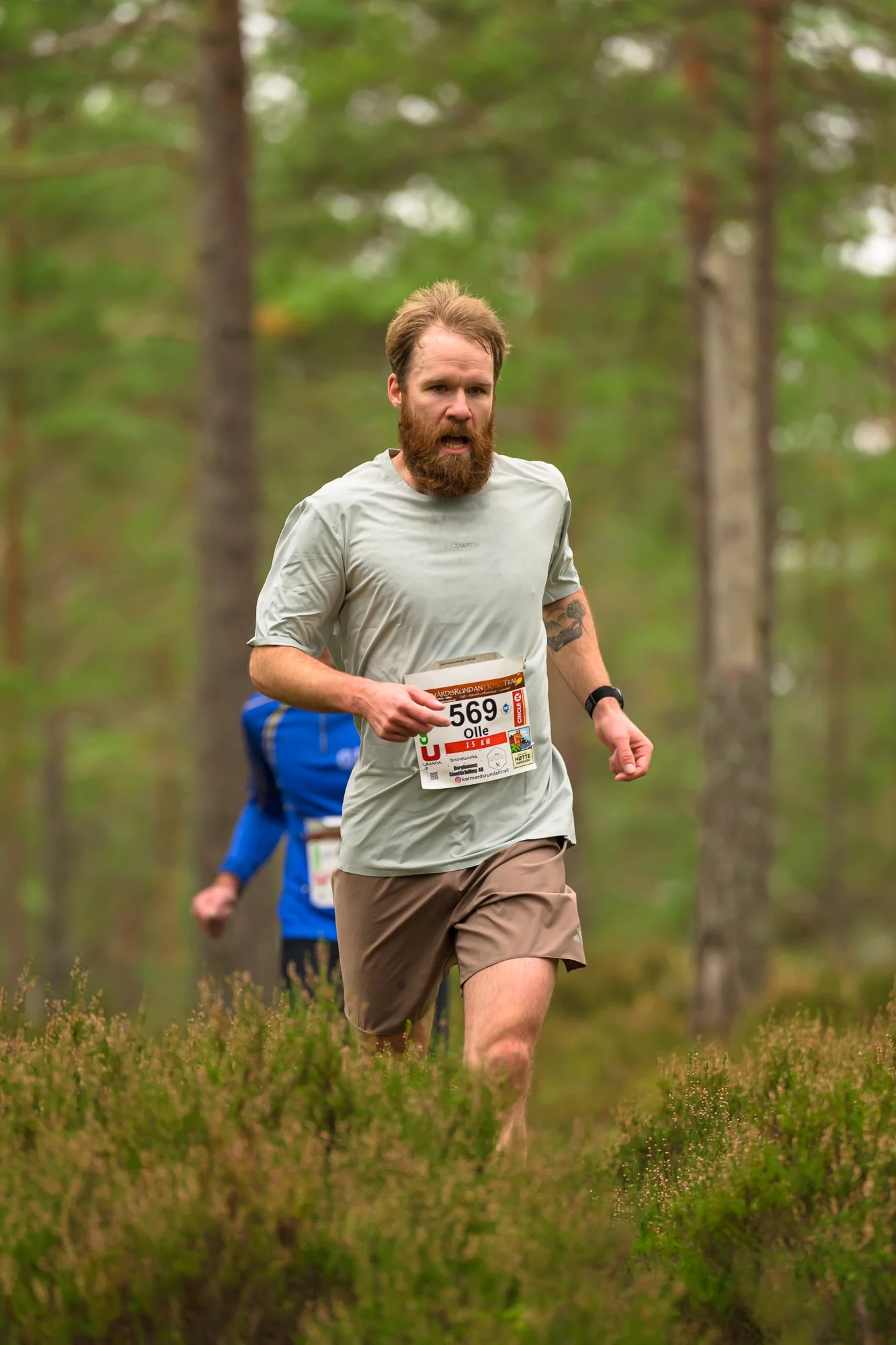 Kolmårdsrundan trail-88.jpg