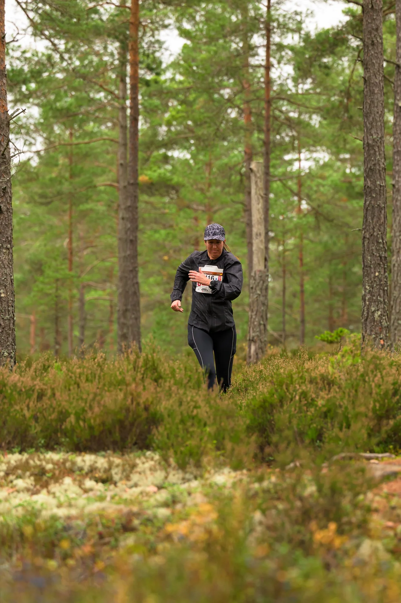 Kolmårdsrundan trail-201.jpg