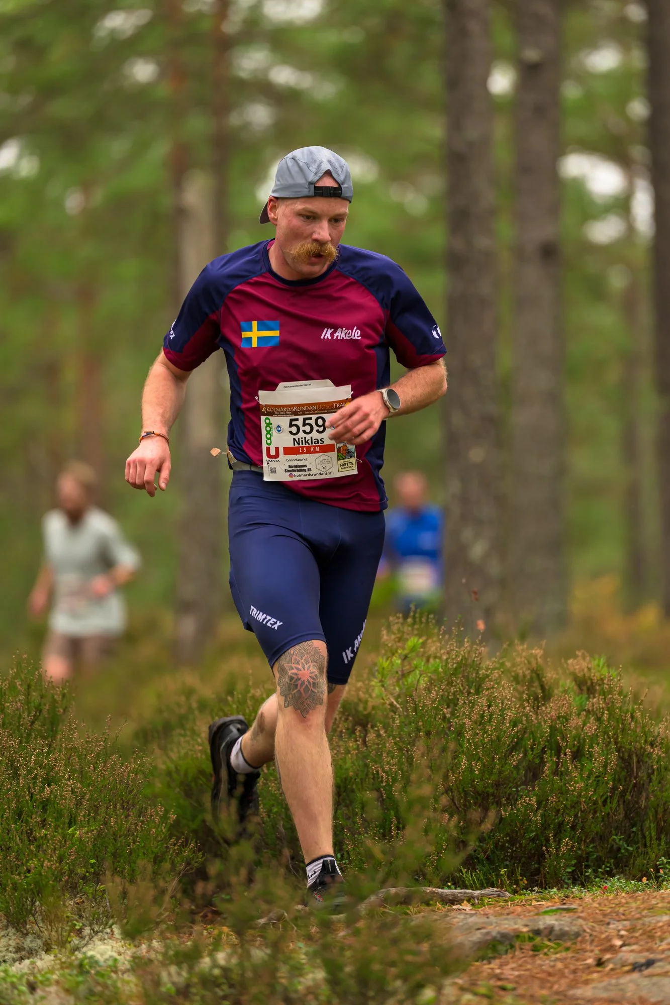 Kolmårdsrundan trail-85.jpg