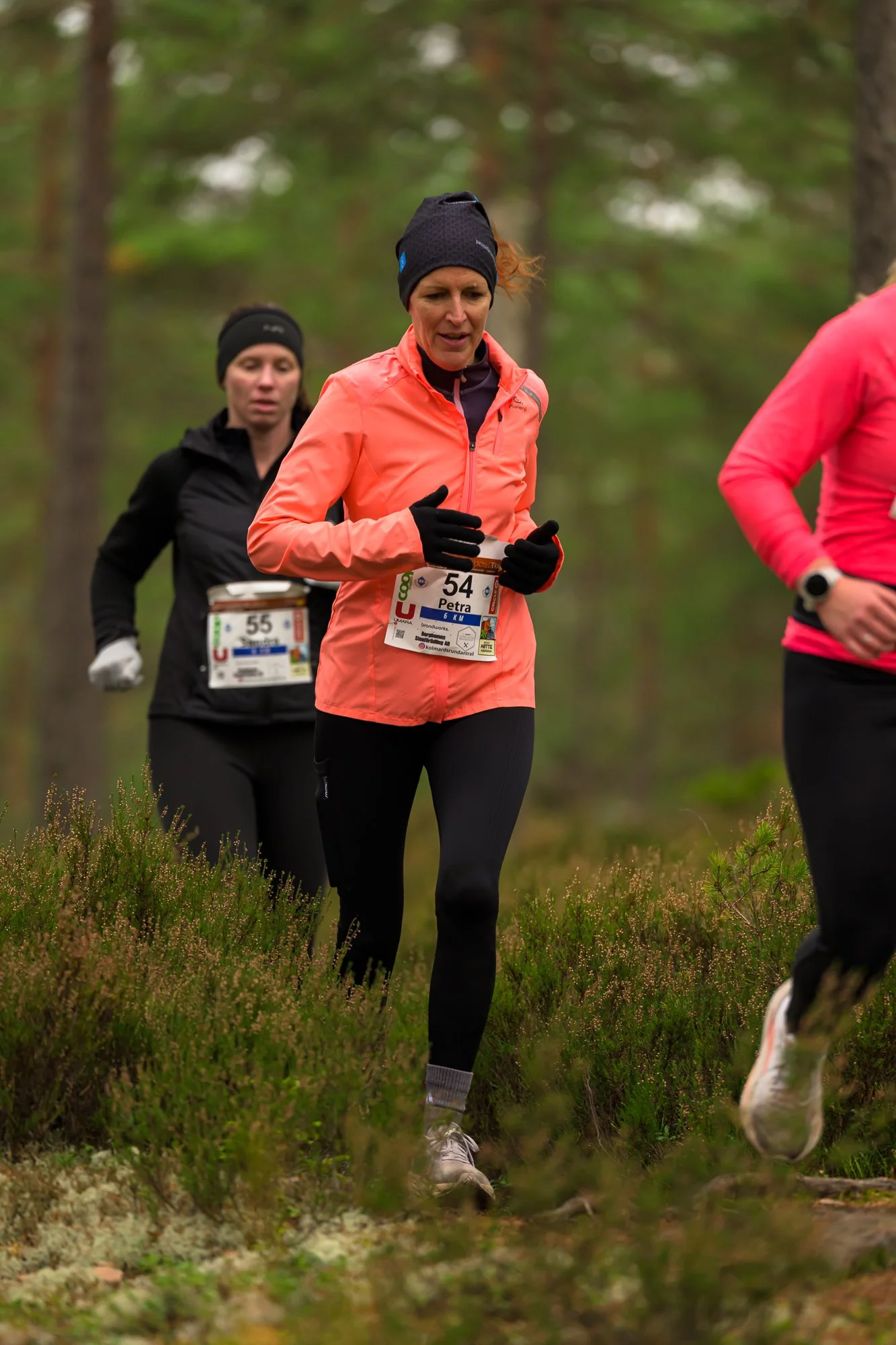 Kolmårdsrundan trail-103.jpg