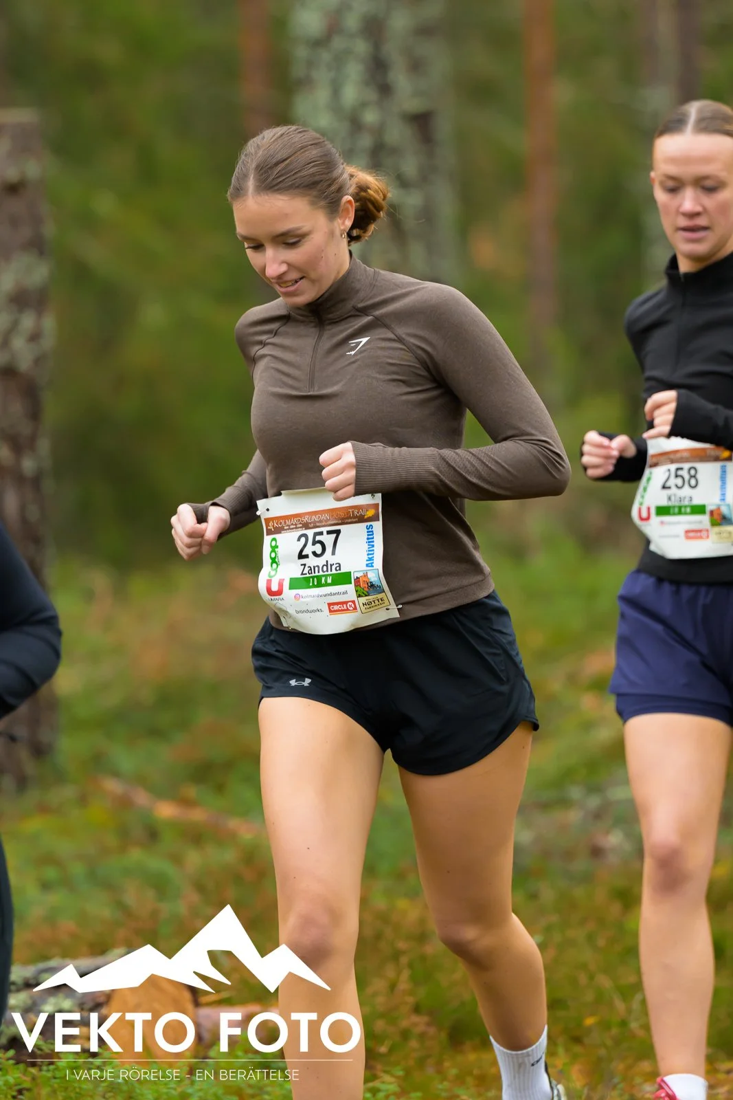 Kolmårdsrundan trail höst-176.jpg