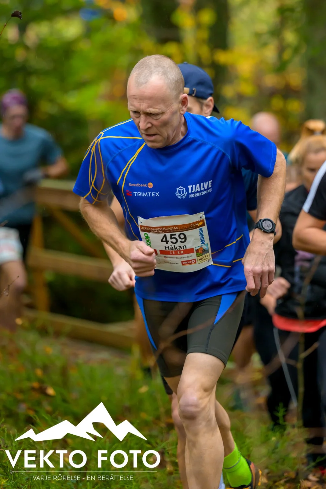 Kolmårdsrundan trail höst-52.jpg