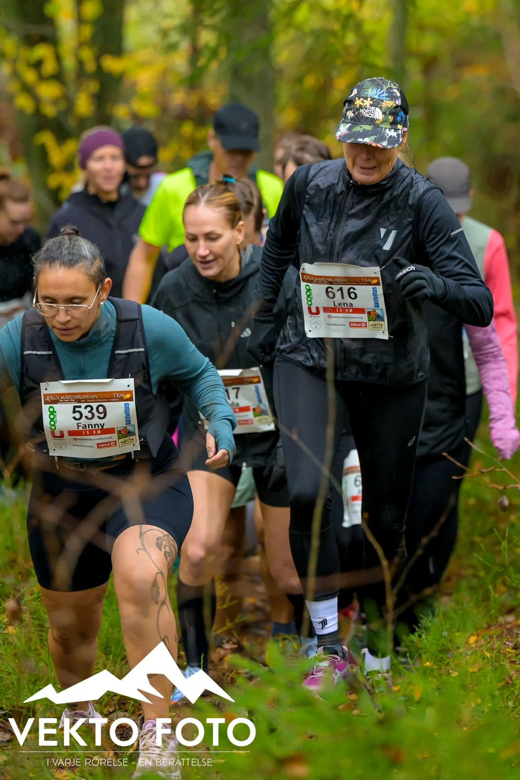 Kolmårdsrundan trail höst-123.jpg