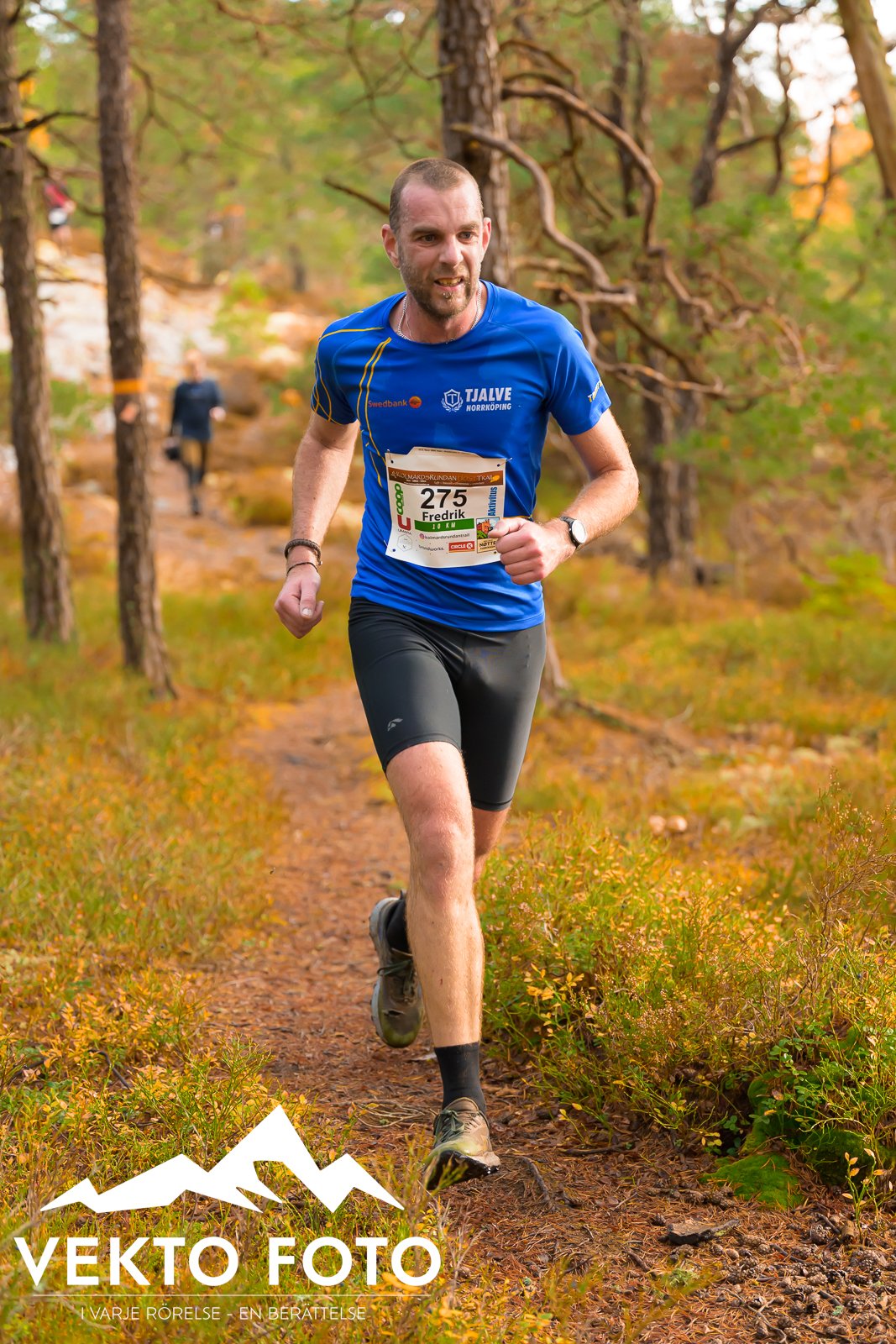 Kolmårdsrundan trail höst-248.jpg