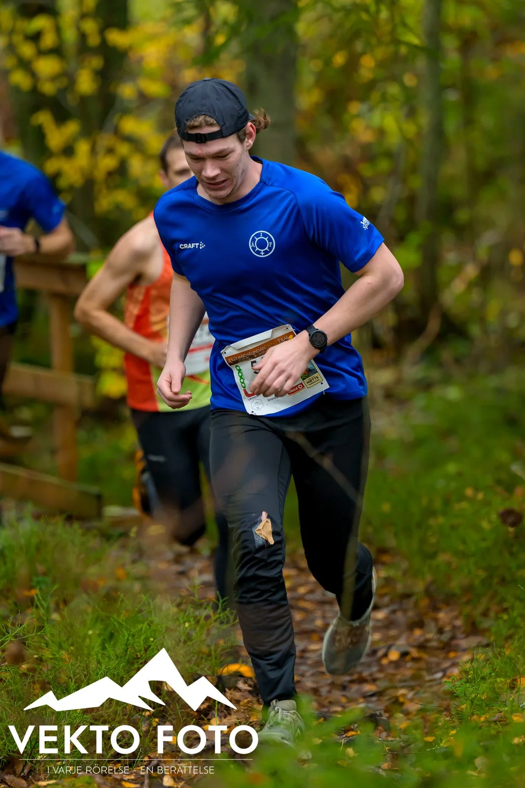 Kolmårdsrundan trail höst-23.jpg