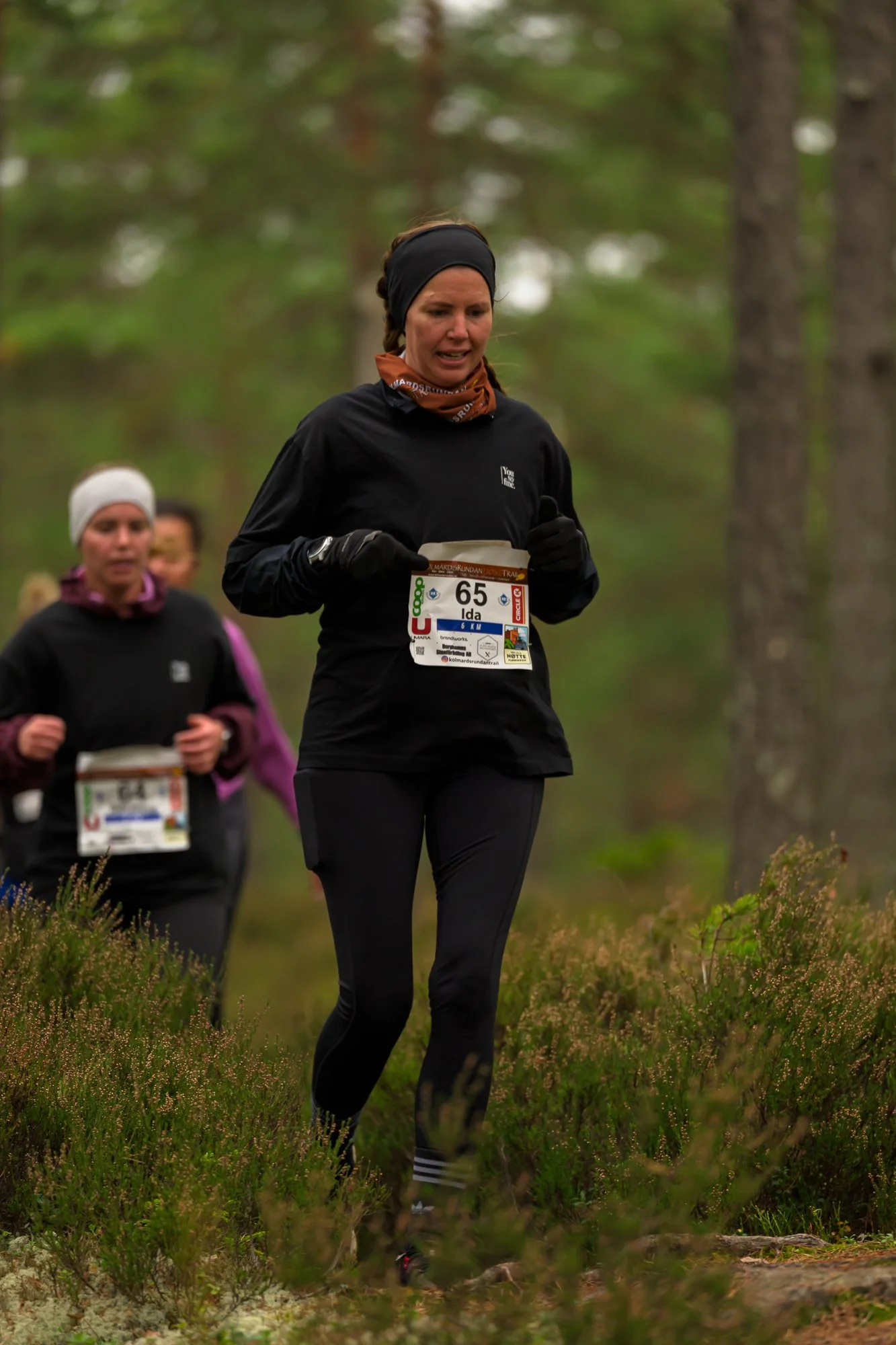 Kolmårdsrundan trail-111.jpg