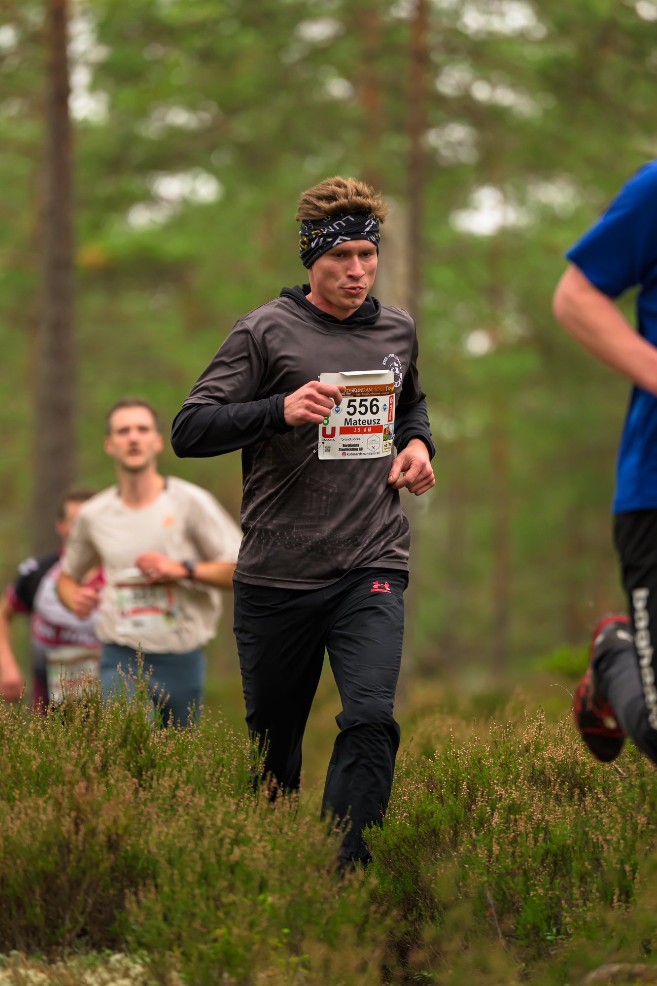 Kolmårdsrundan trail-75.jpg