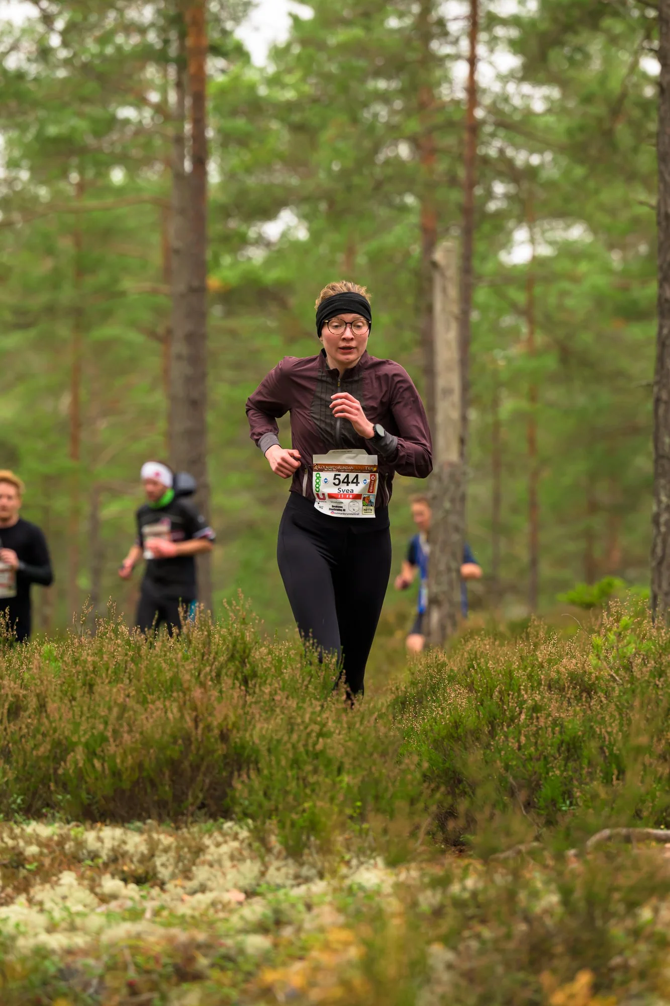 Kolmårdsrundan trail-125.jpg