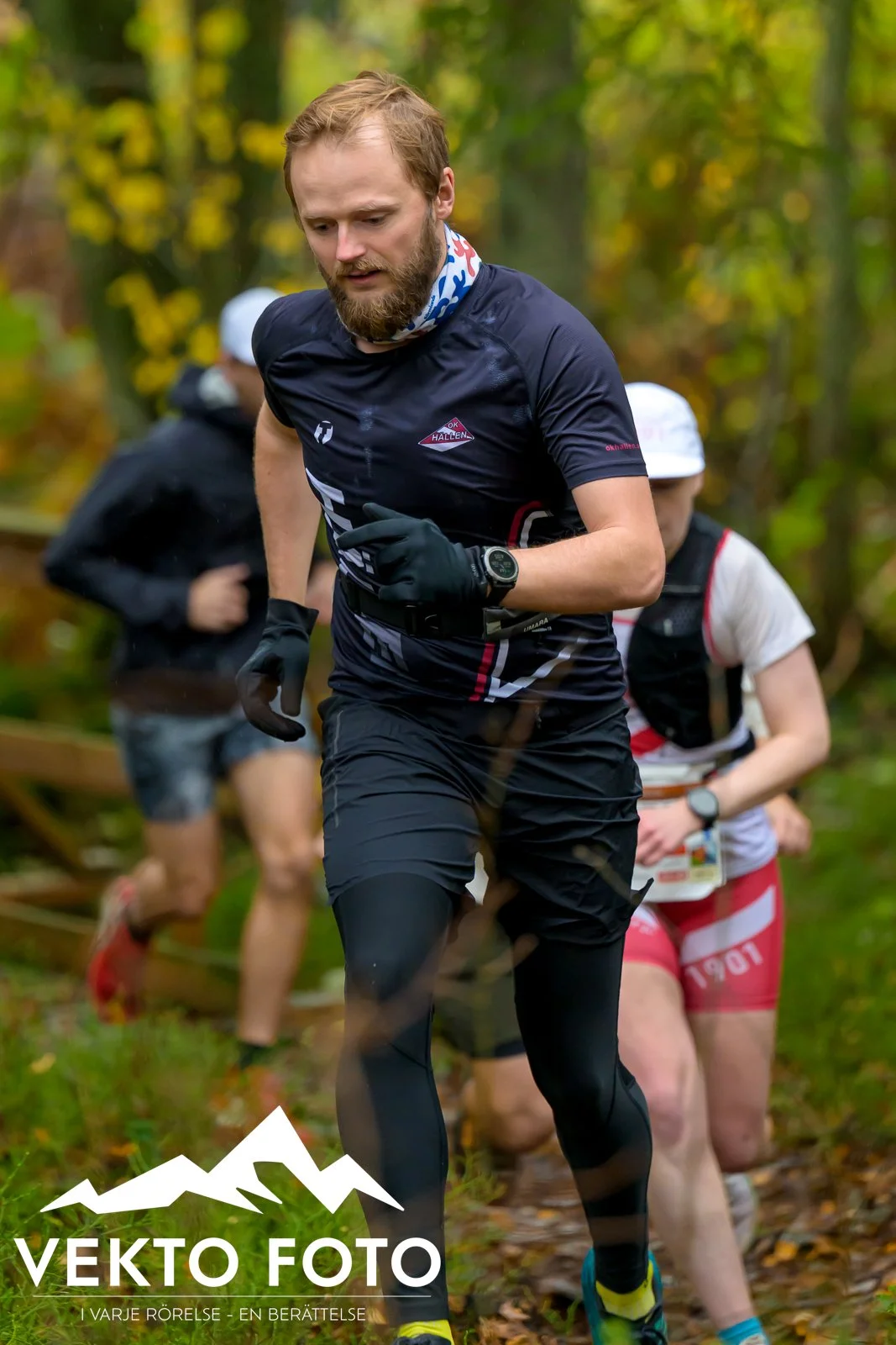 Kolmårdsrundan trail höst-32.jpg