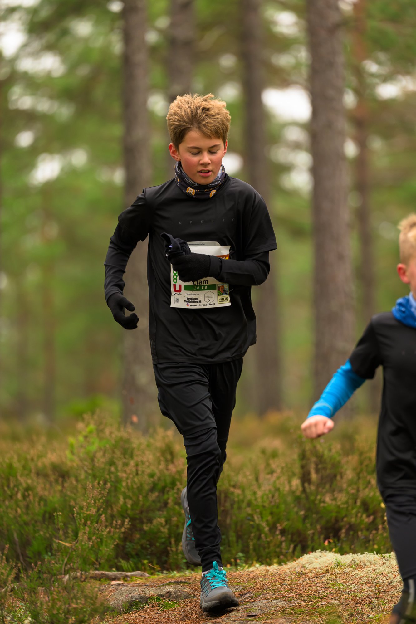 Kolmårdsrundan trail-31.jpg