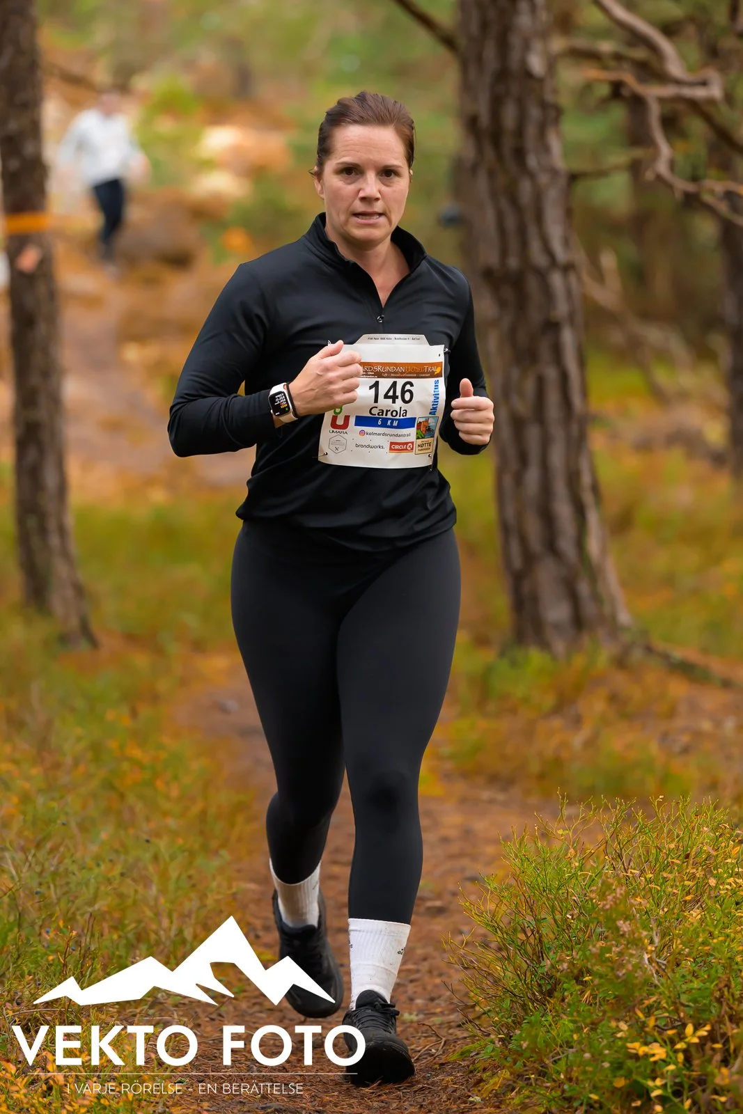 Kolmårdsrundan trail höst-550.jpg