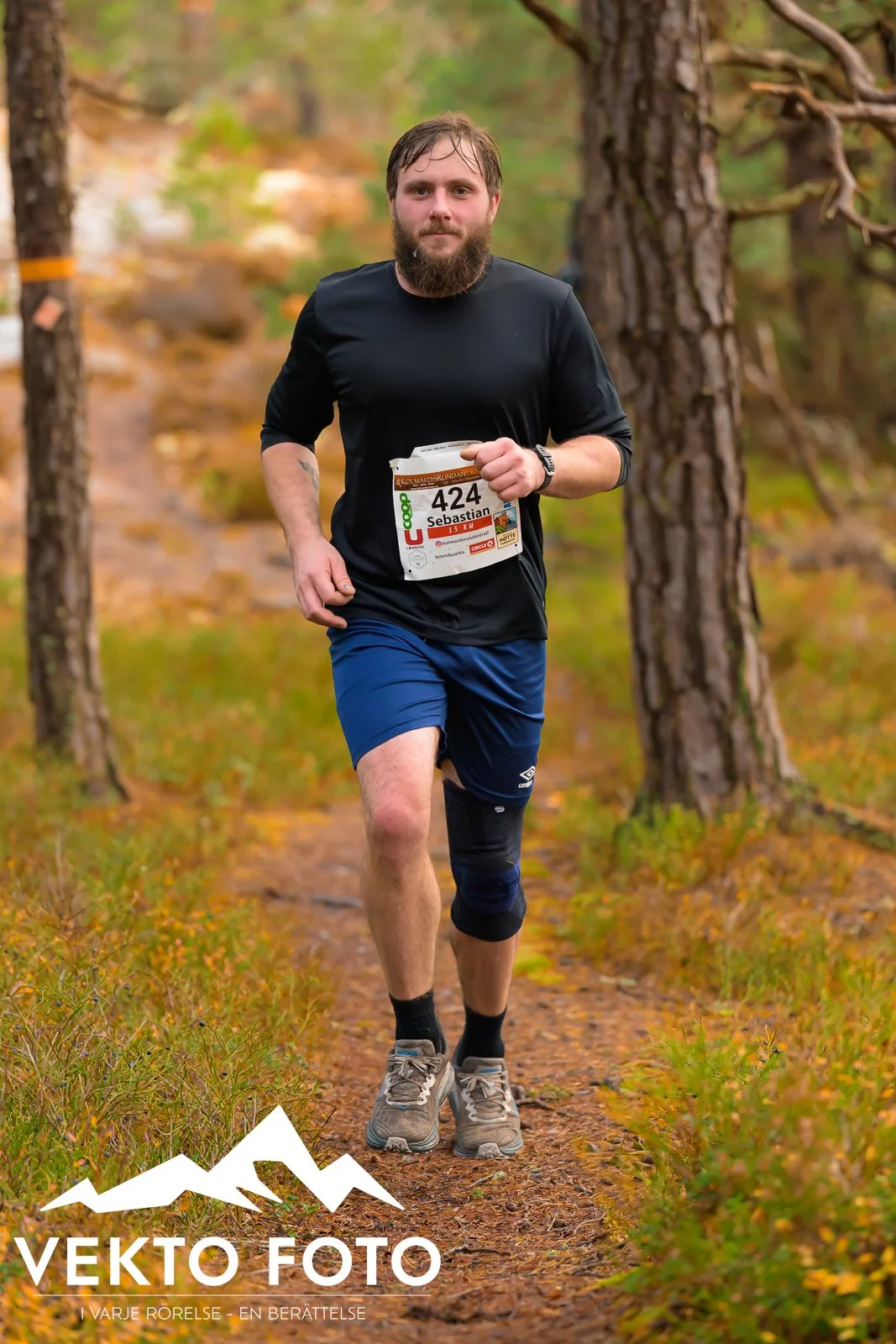 Kolmårdsrundan trail höst-304.jpg