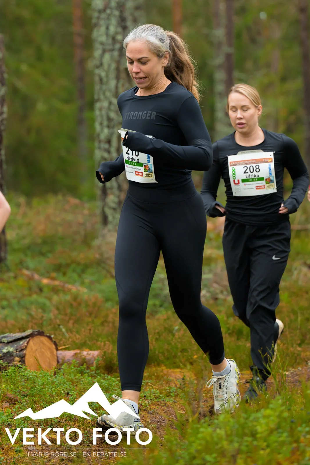 Kolmårdsrundan trail höst-201.jpg