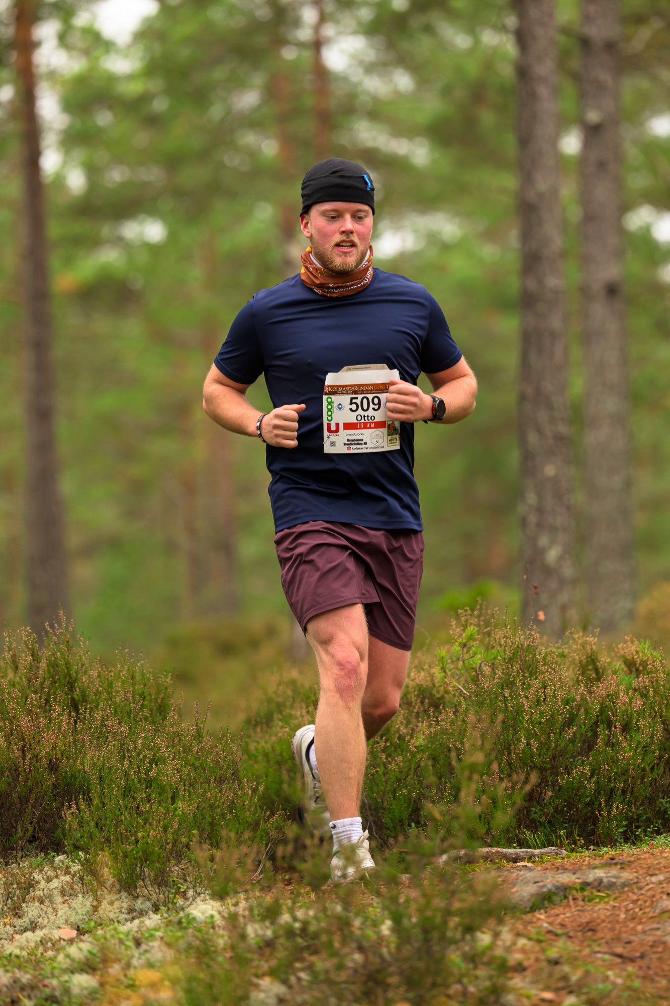 Kolmårdsrundan trail-205.jpg