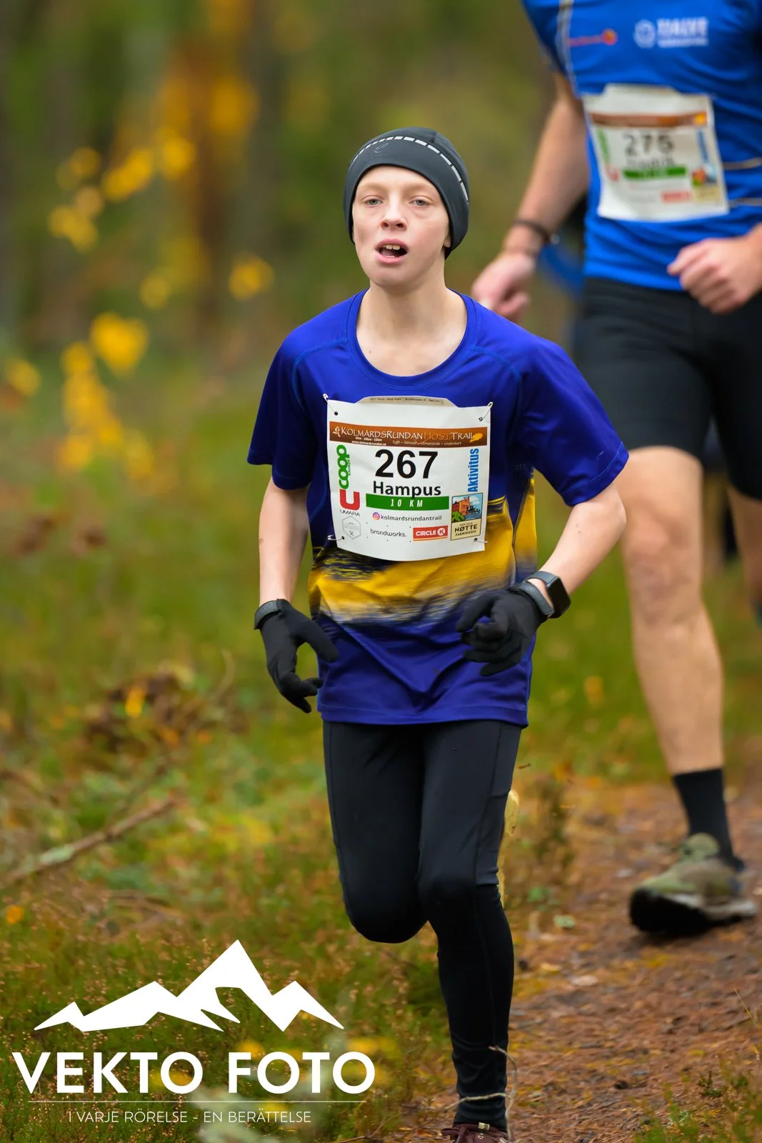 Kolmårdsrundan trail höst-143.jpg