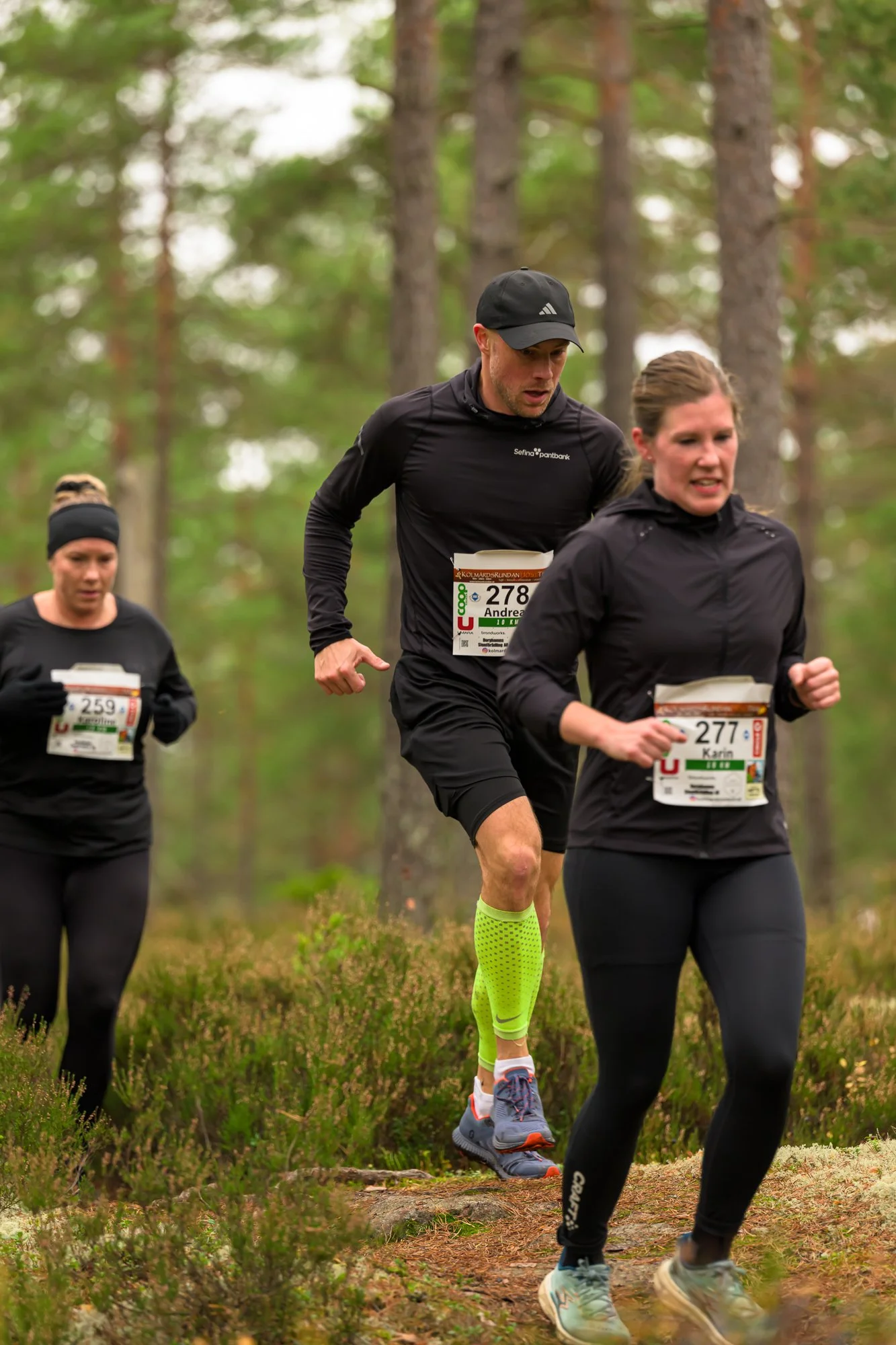 Kolmårdsrundan trail-40.jpg