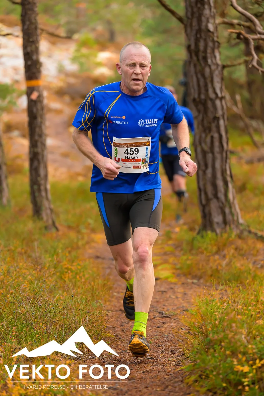 Kolmårdsrundan trail höst-311.jpg