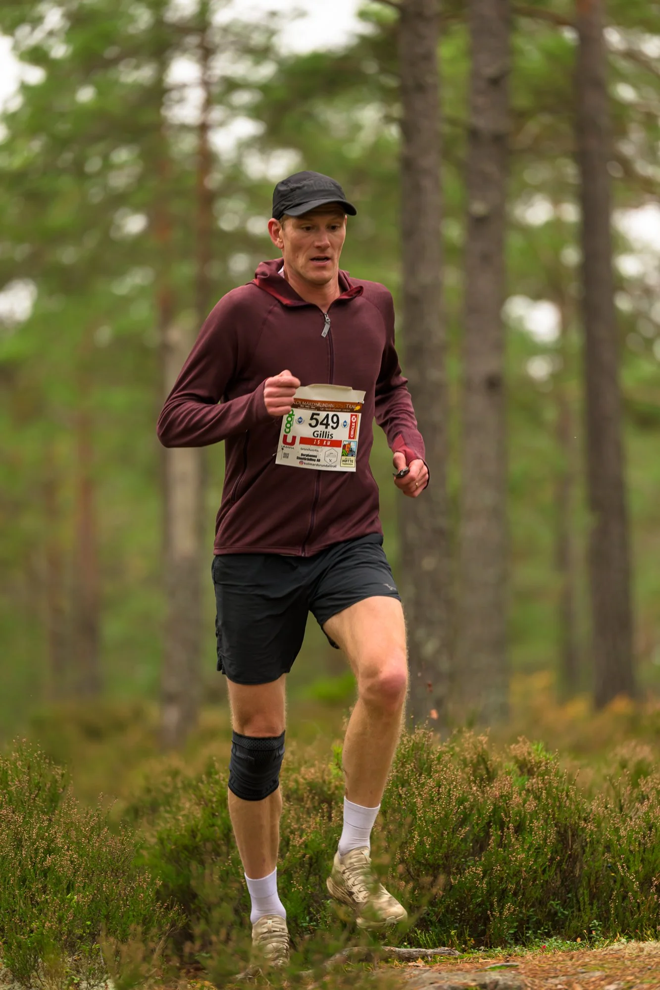 Kolmårdsrundan trail-100.jpg