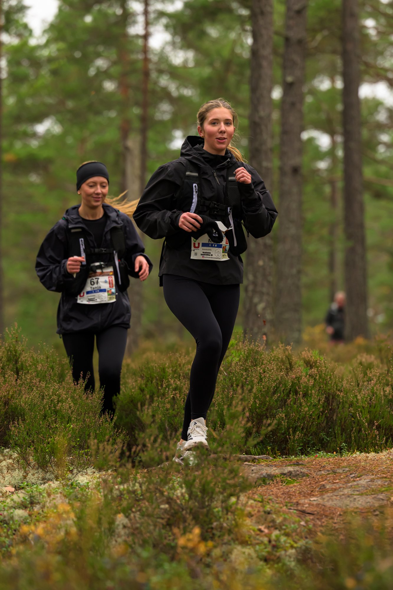 Kolmårdsrundan trail-121.jpg