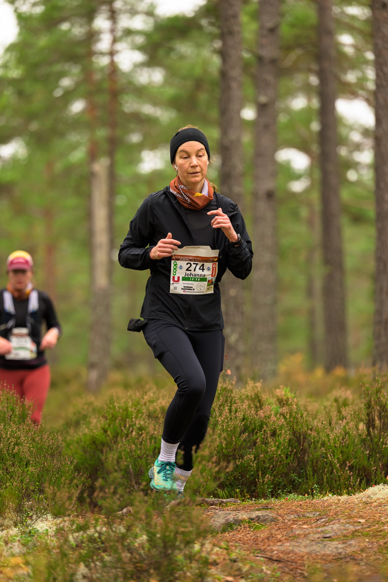 Kolmårdsrundan trail-53.jpg