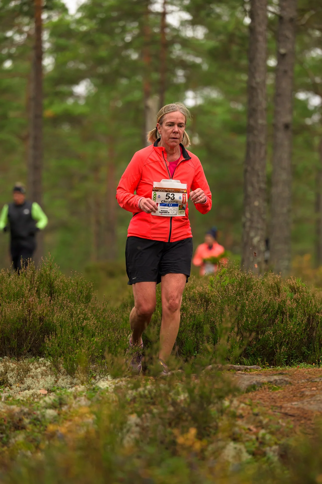 Kolmårdsrundan trail-99.jpg