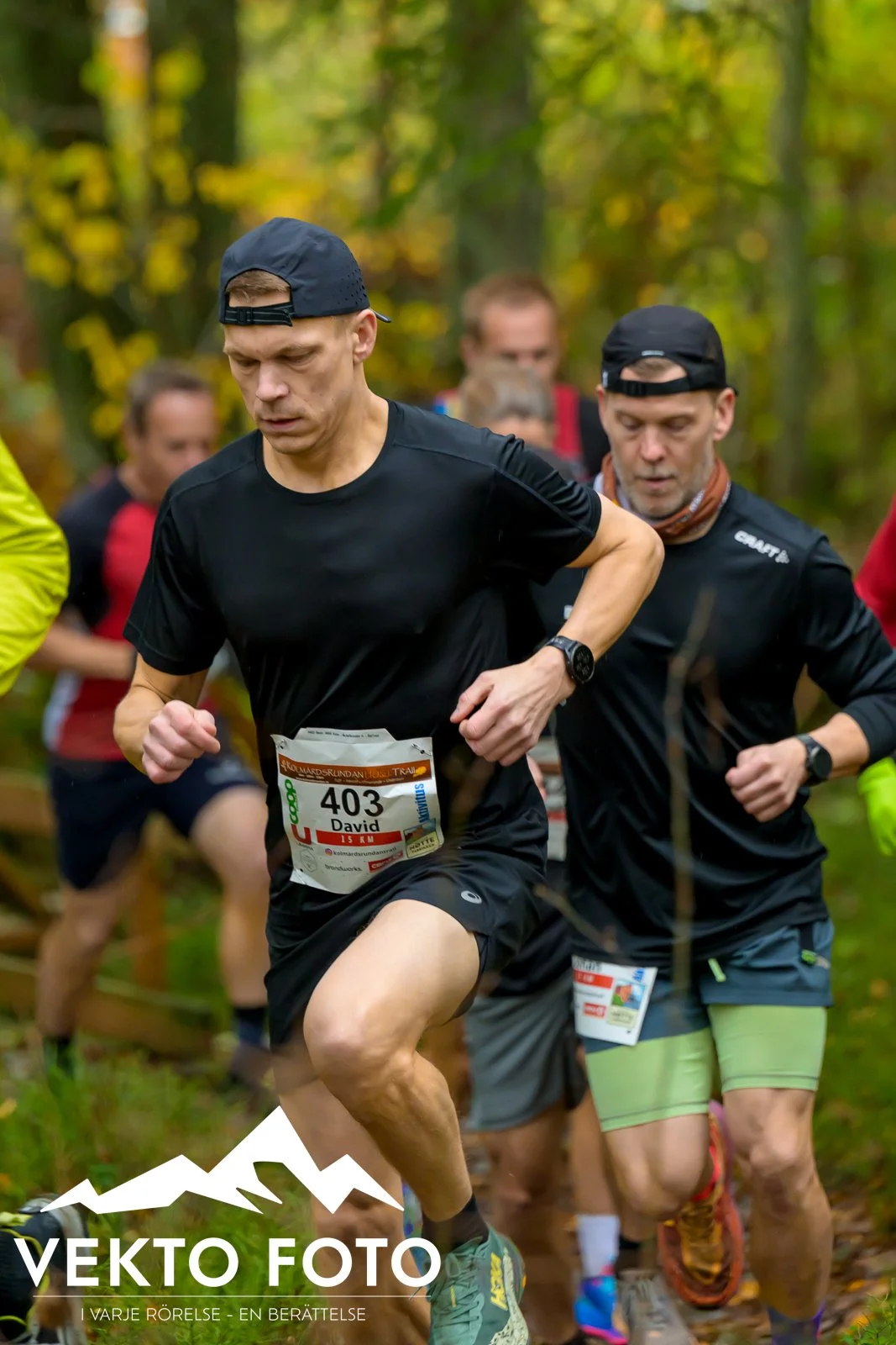 Kolmårdsrundan trail höst-44.jpg