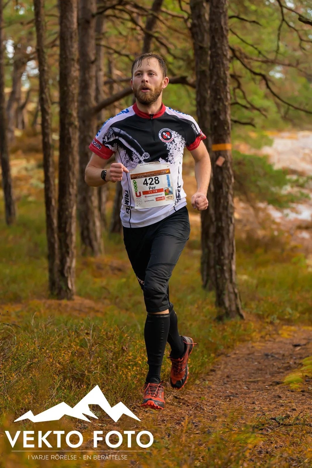 Kolmårdsrundan trail höst-219.jpg