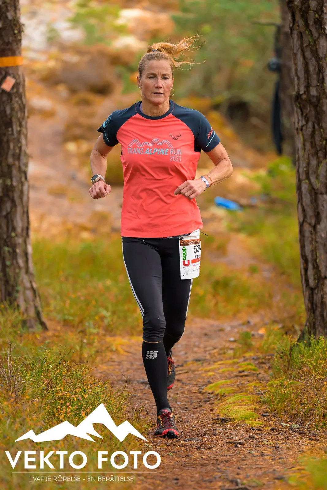 Kolmårdsrundan trail höst-334.jpg