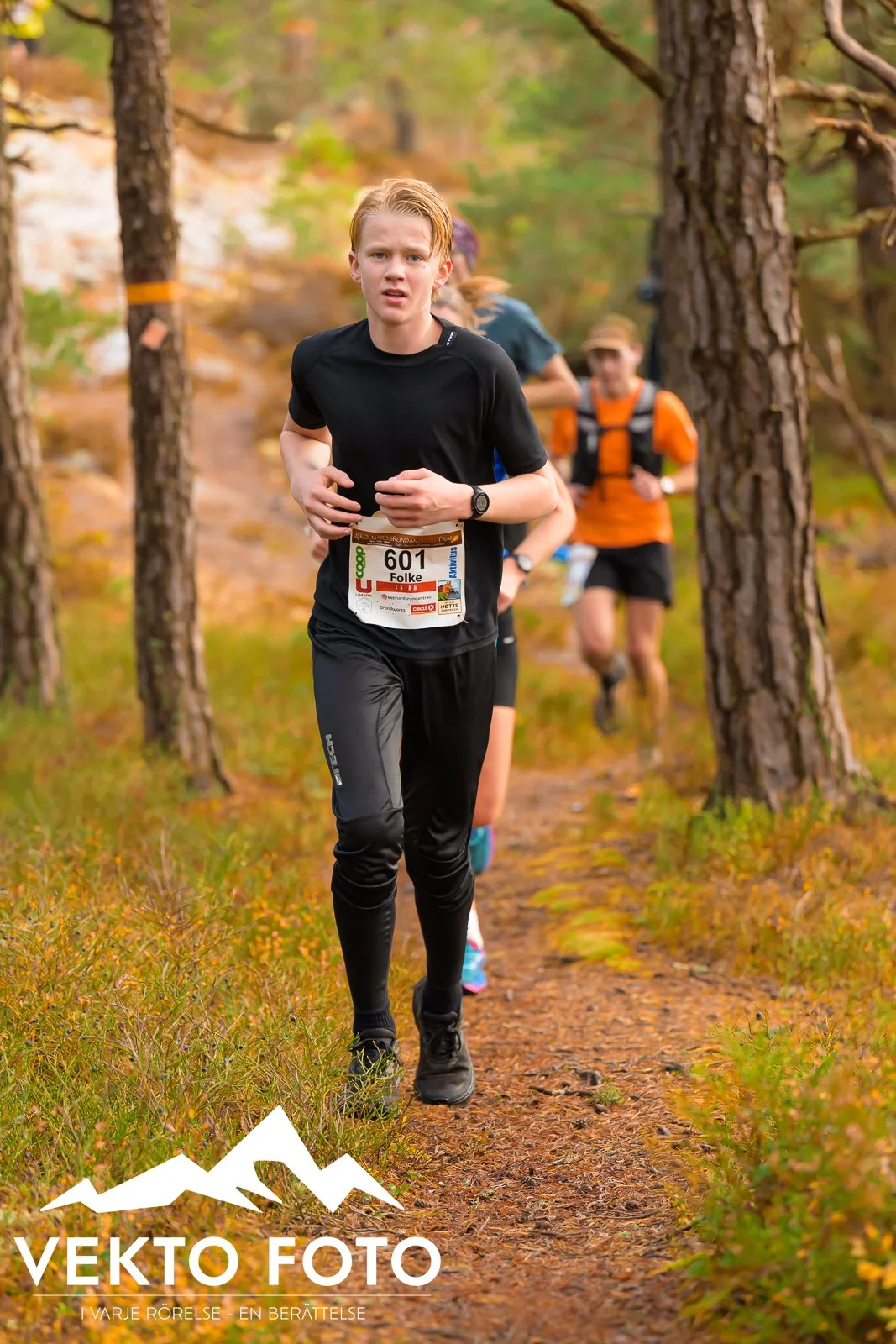 Kolmårdsrundan trail höst-252.jpg