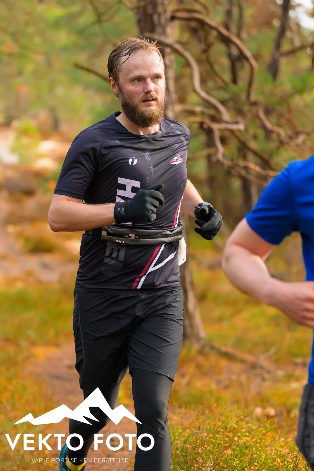 Kolmårdsrundan trail höst-260.jpg