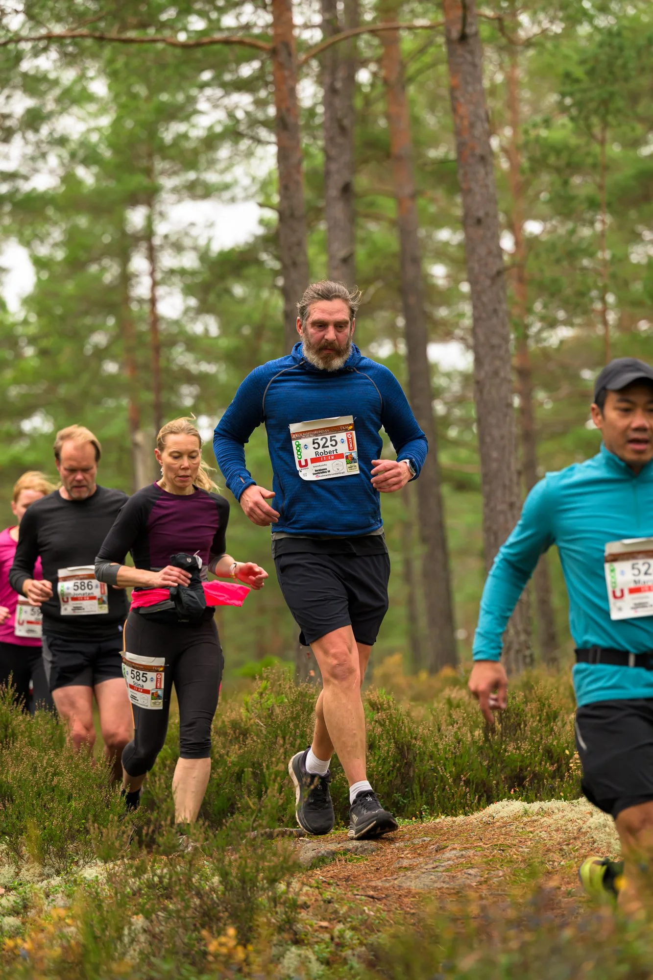 Kolmårdsrundan trail-242.jpg