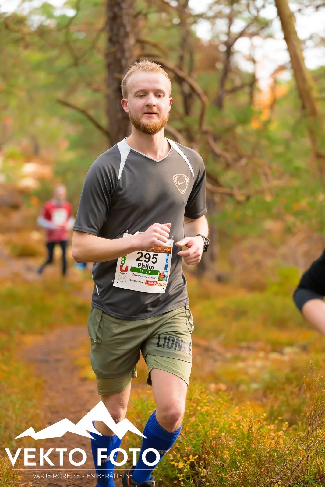 Kolmårdsrundan trail höst-405.jpg