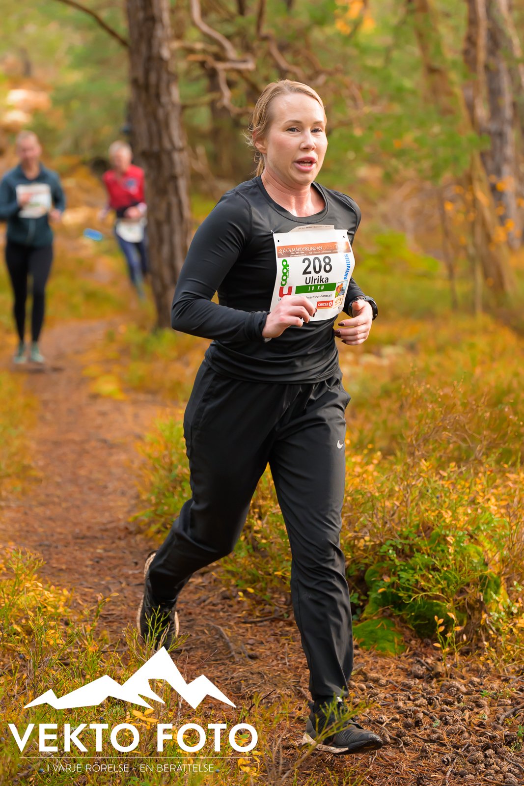 Kolmårdsrundan trail höst-368.jpg