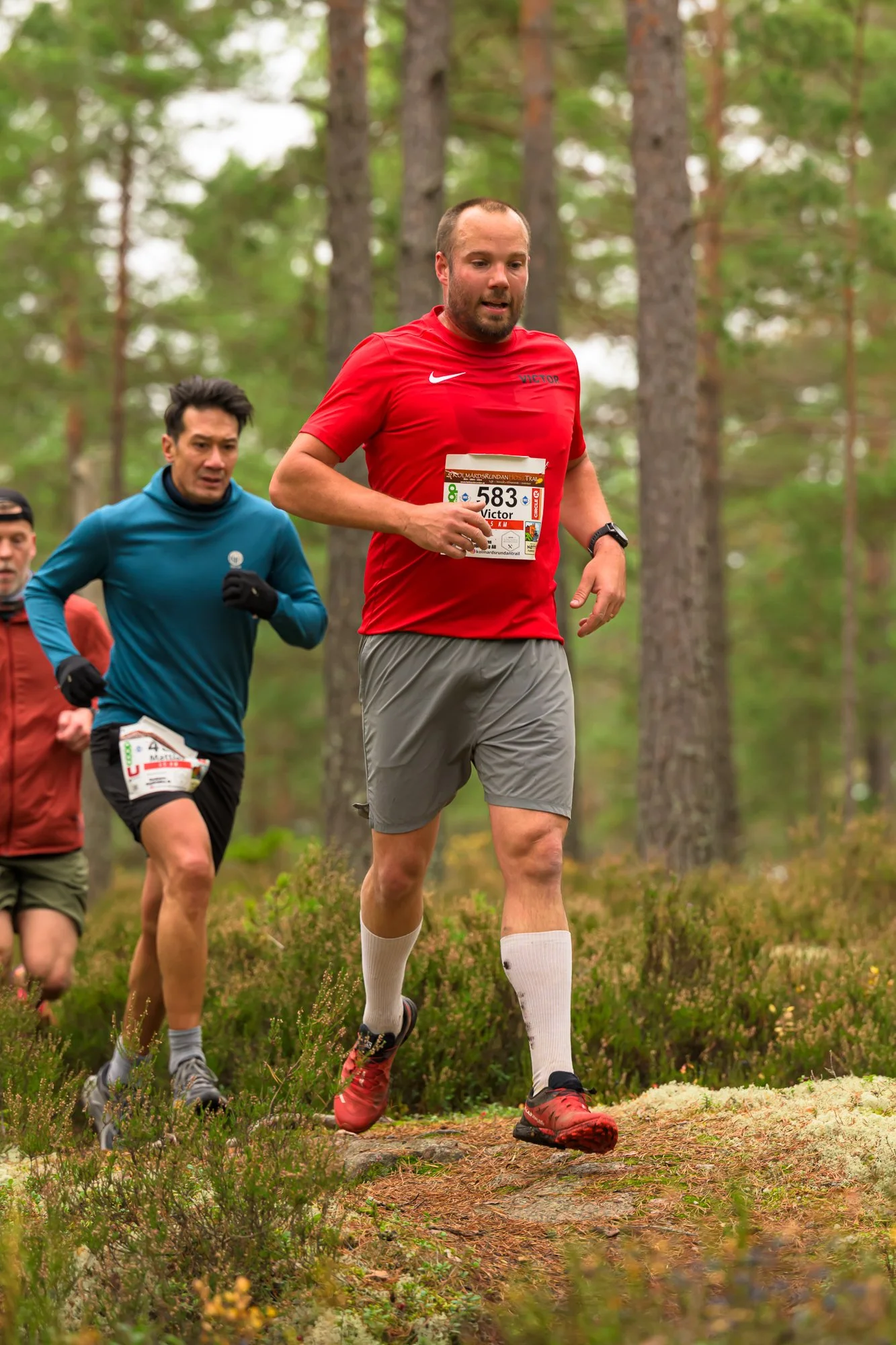 Kolmårdsrundan trail-195.jpg