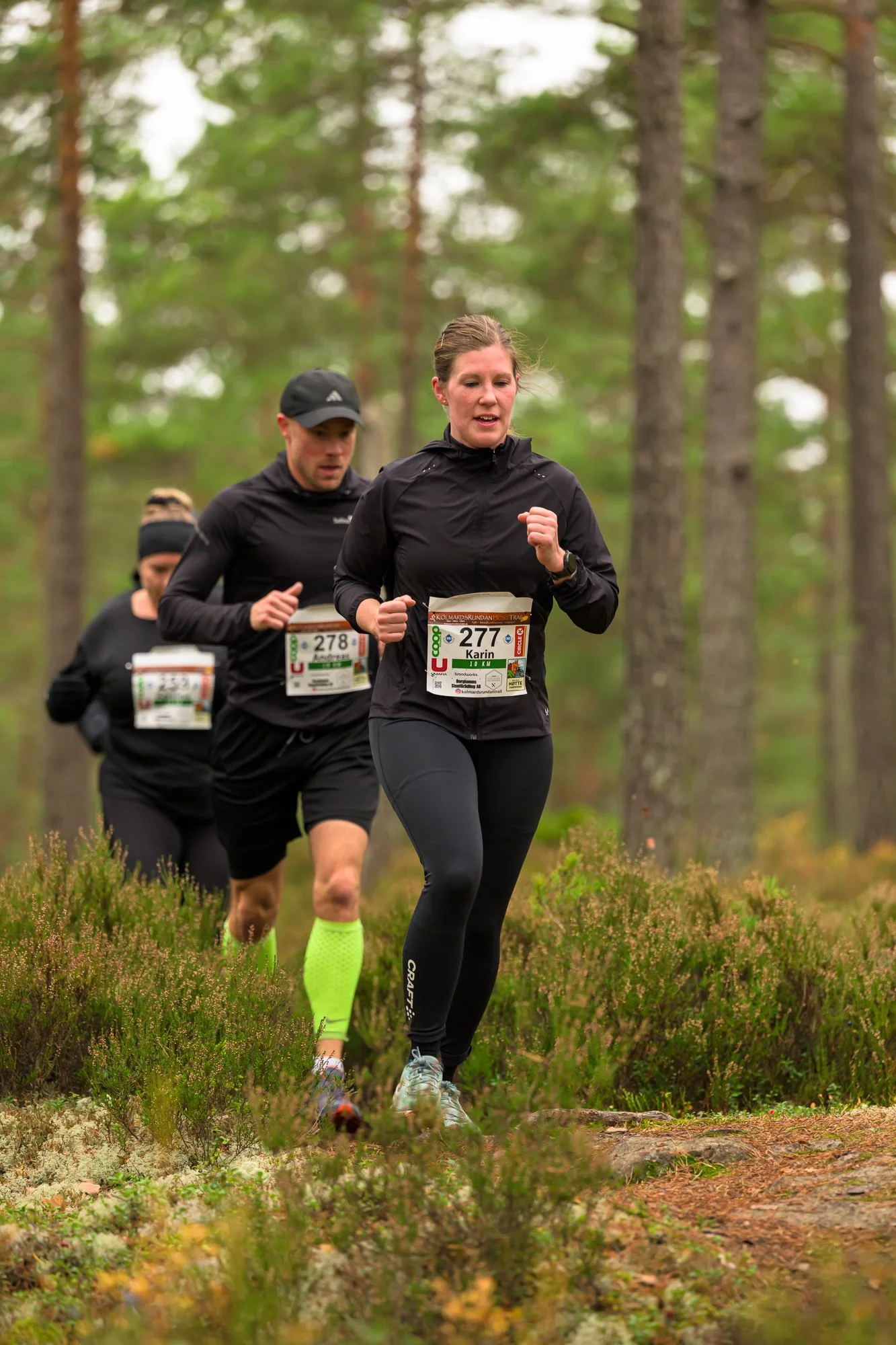 Kolmårdsrundan trail-39.jpg
