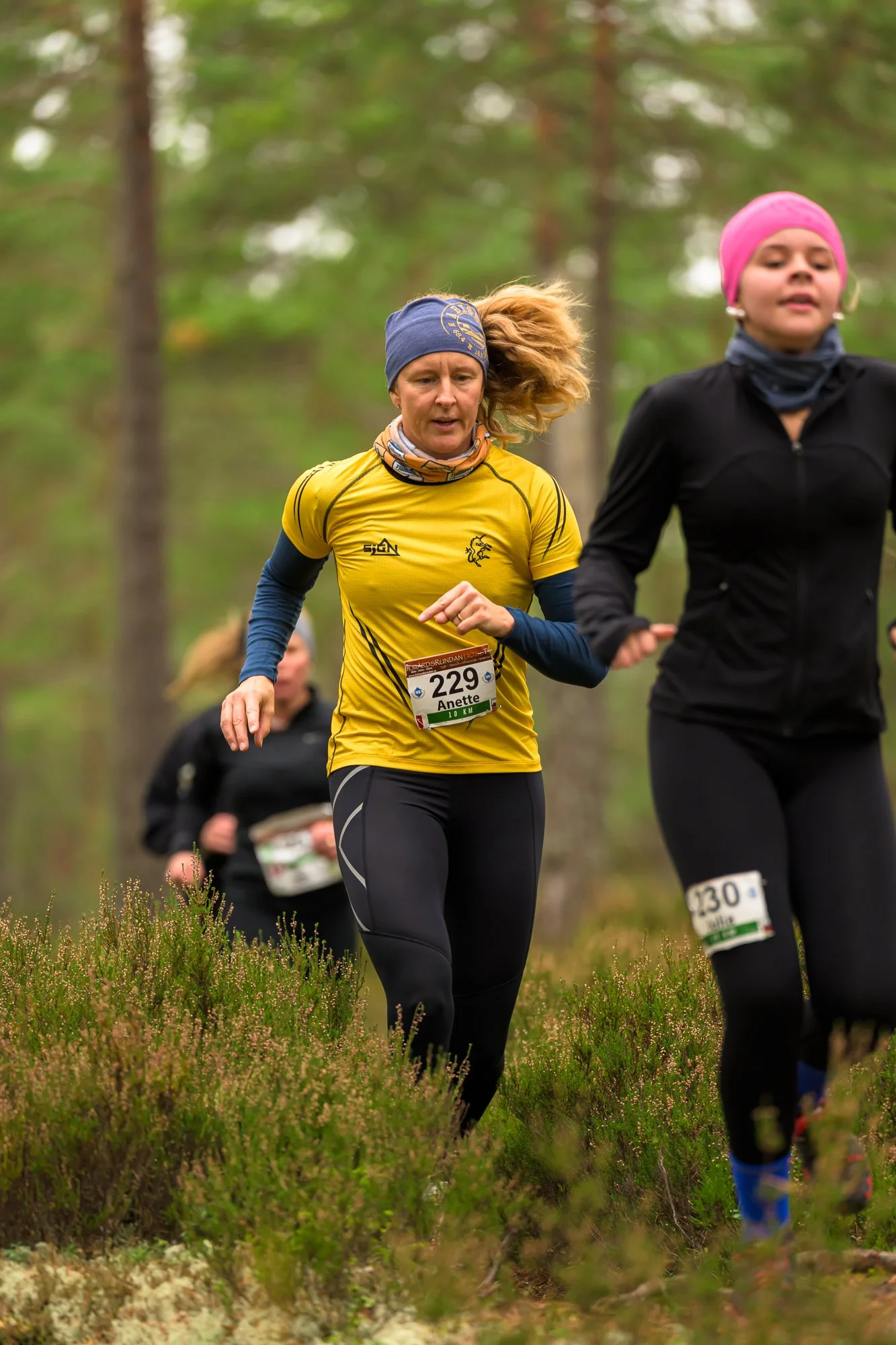 Kolmårdsrundan trail-48.jpg