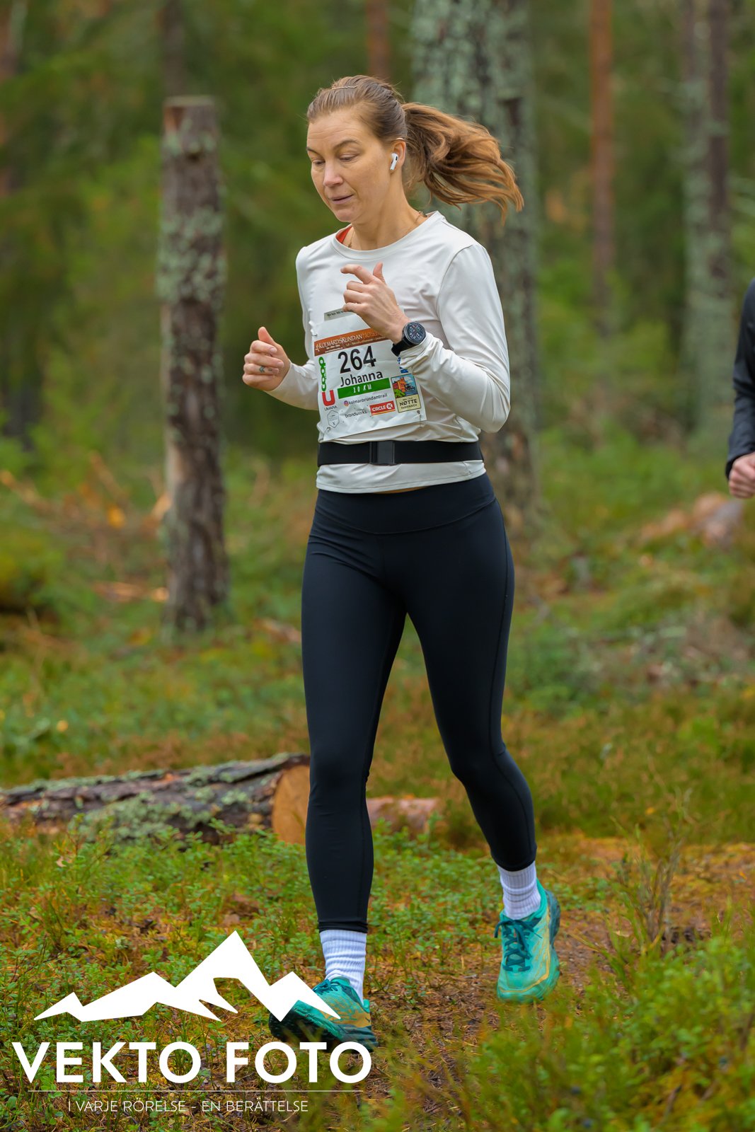 Kolmårdsrundan trail höst-197.jpg