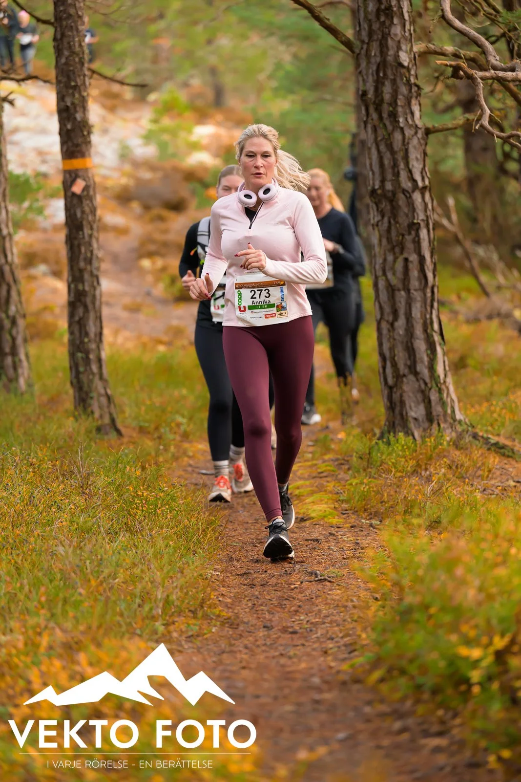 Kolmårdsrundan trail höst-471.jpg