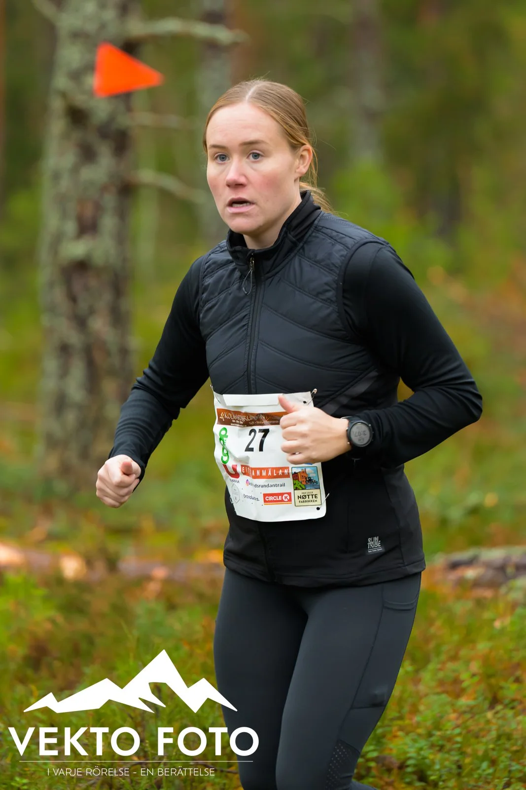 Kolmårdsrundan trail höst-188.jpg