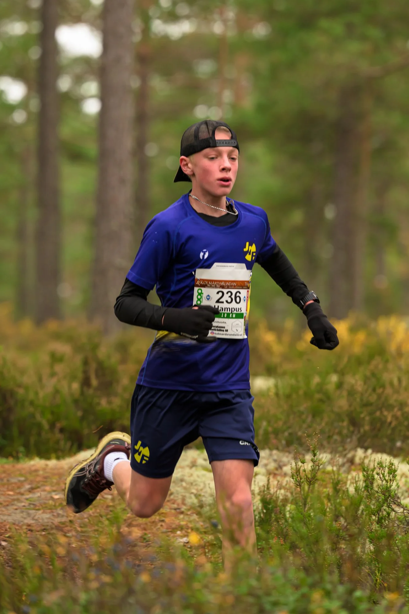 Kolmårdsrundan trail-2.jpg
