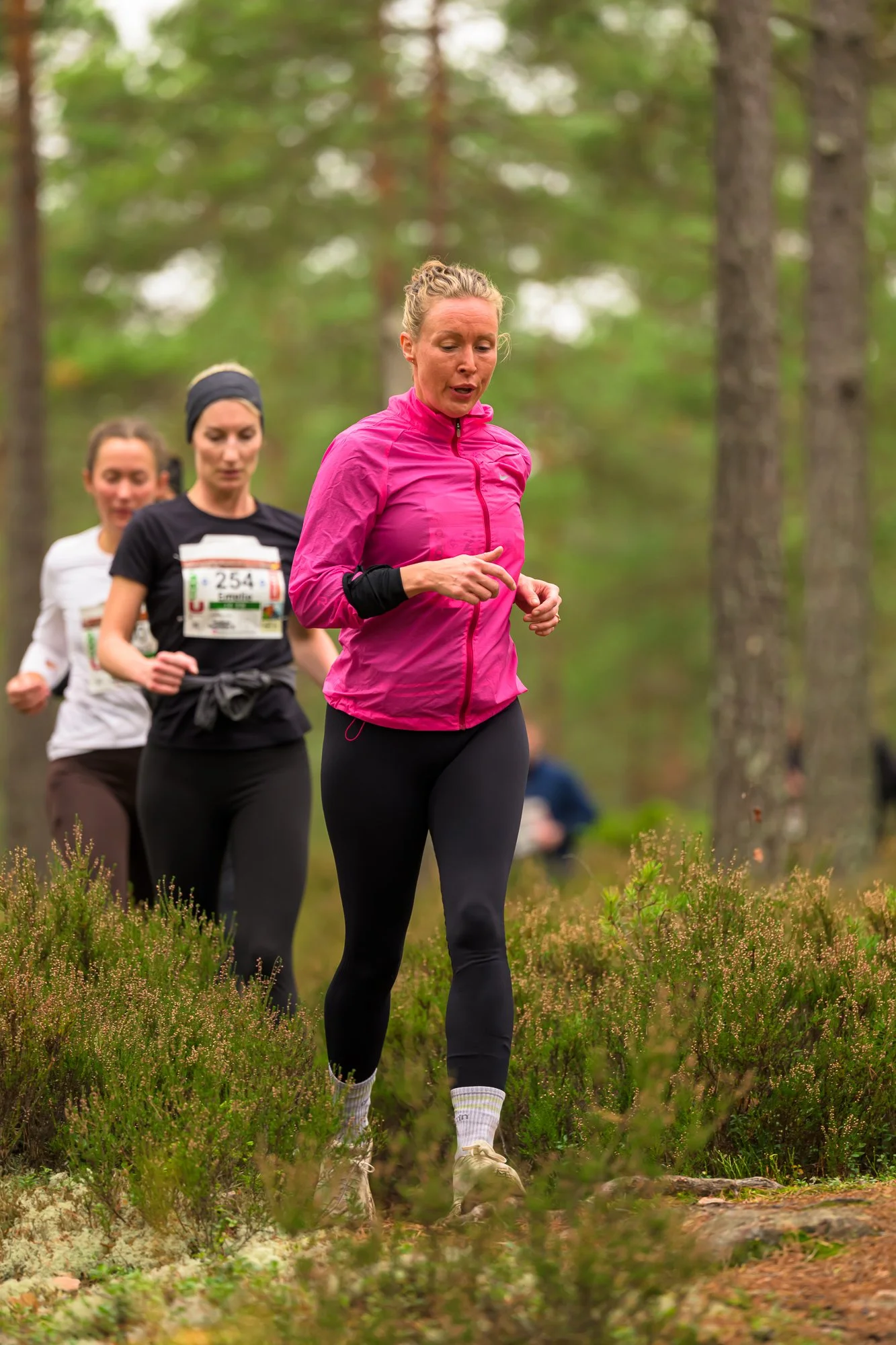 Kolmårdsrundan trail-32.jpg
